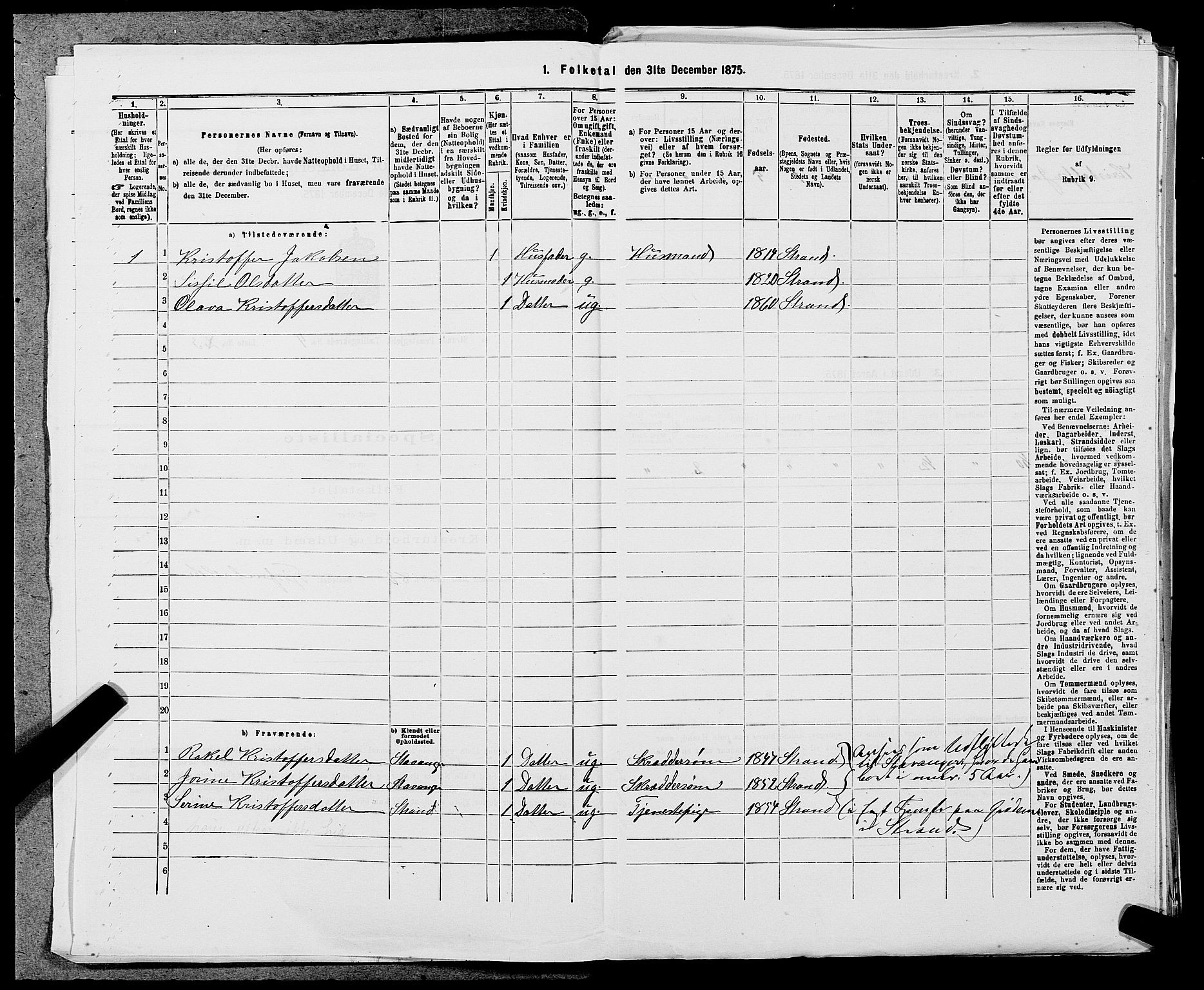 SAST, 1875 census for 1130P Strand, 1875, p. 343