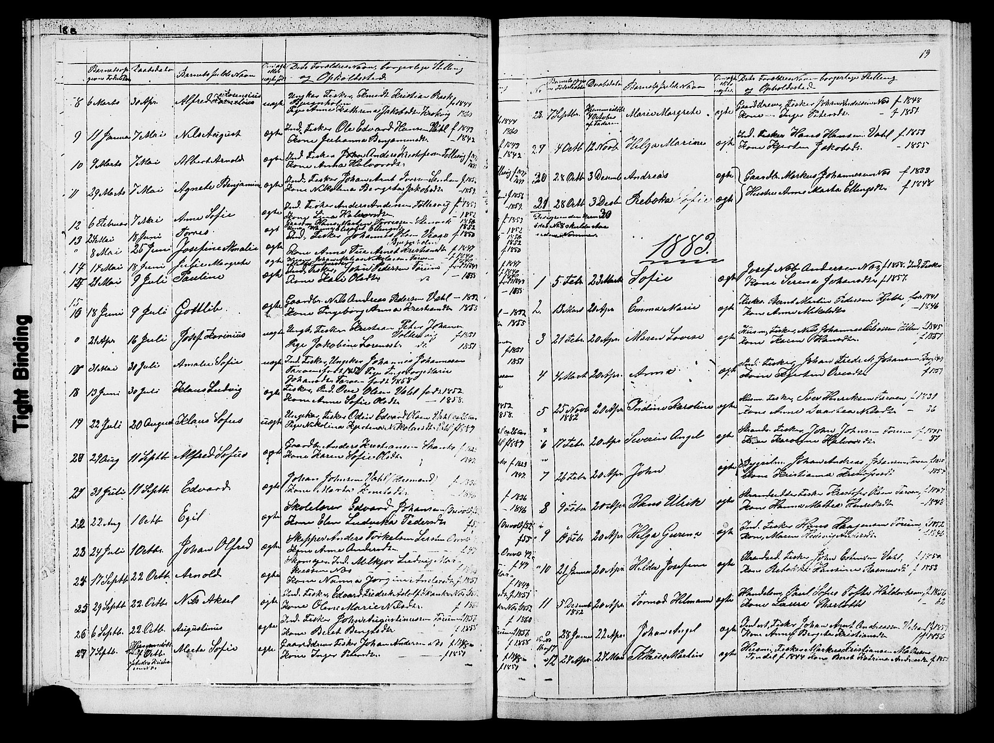 Ministerialprotokoller, klokkerbøker og fødselsregistre - Sør-Trøndelag, SAT/A-1456/652/L0653: Parish register (copy) no. 652C01, 1866-1910, p. 19