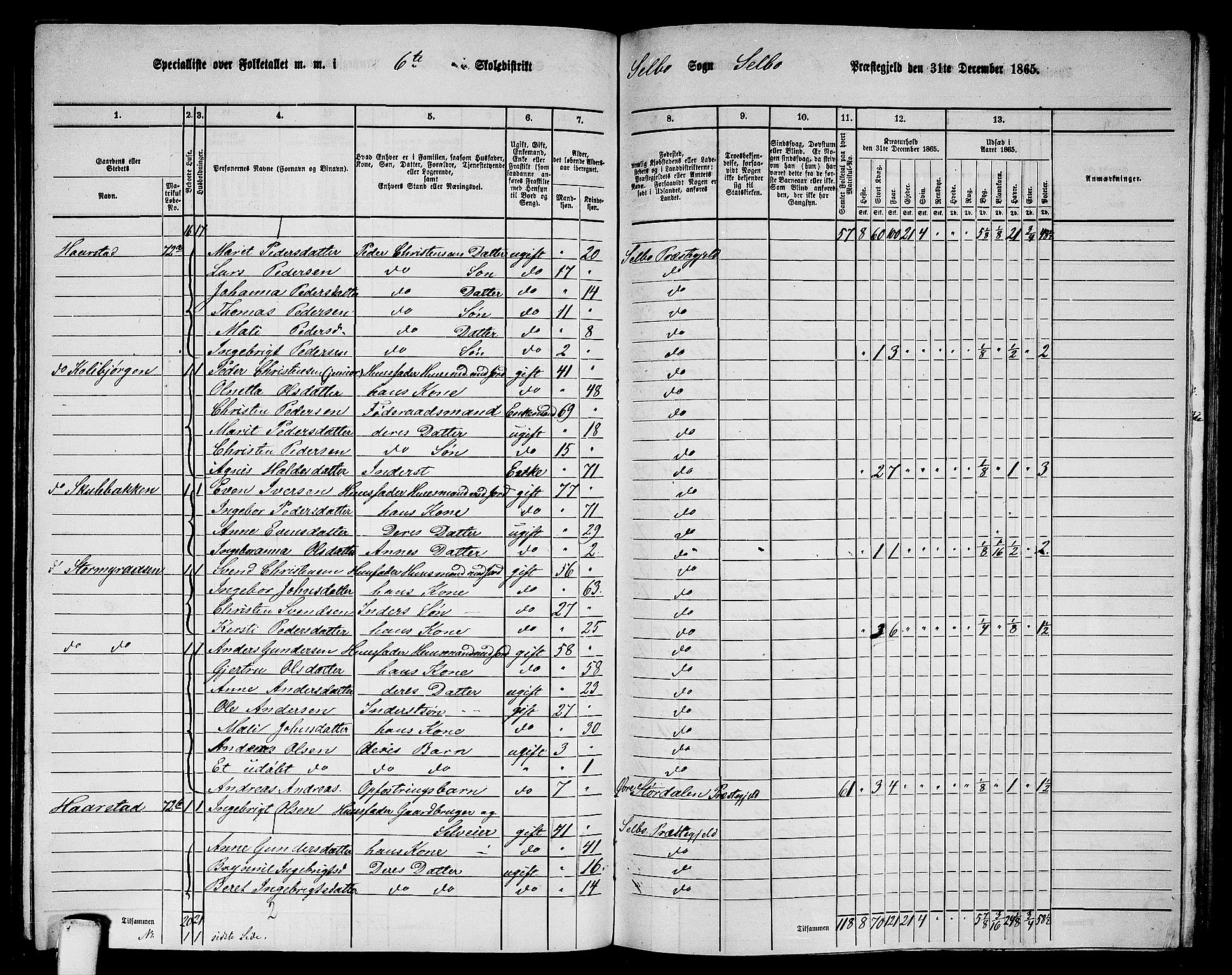 RA, 1865 census for Selbu, 1865, p. 94