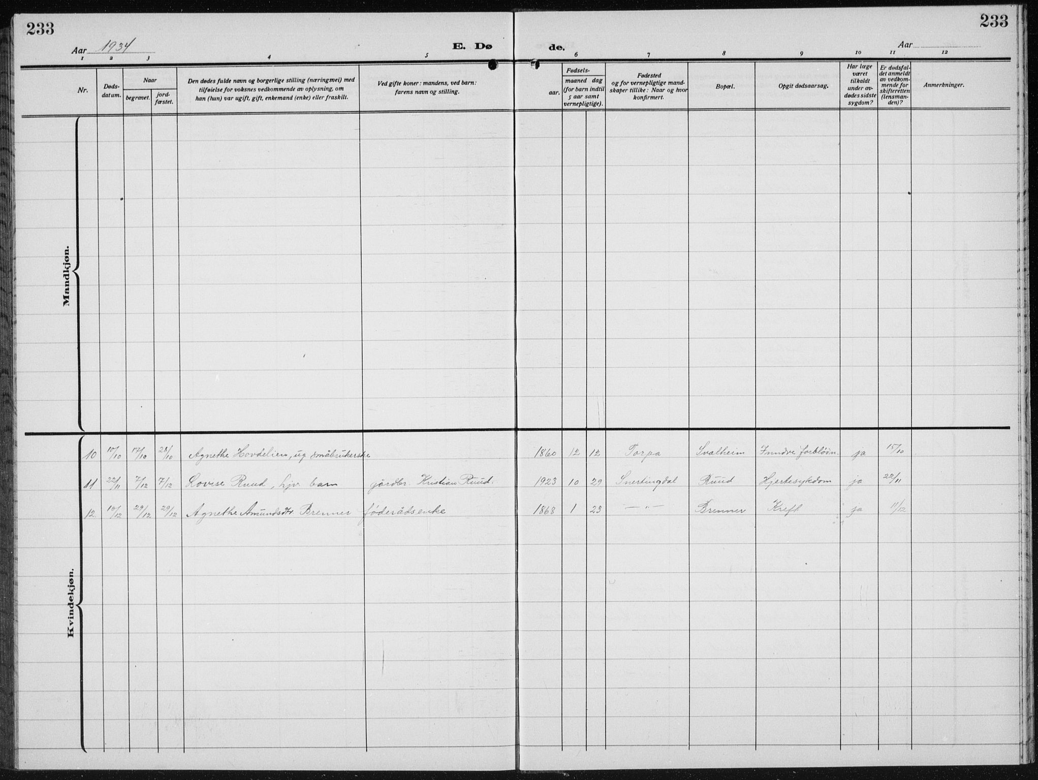 Biri prestekontor, SAH/PREST-096/H/Ha/Hab/L0007: Parish register (copy) no. 7, 1919-1941, p. 233