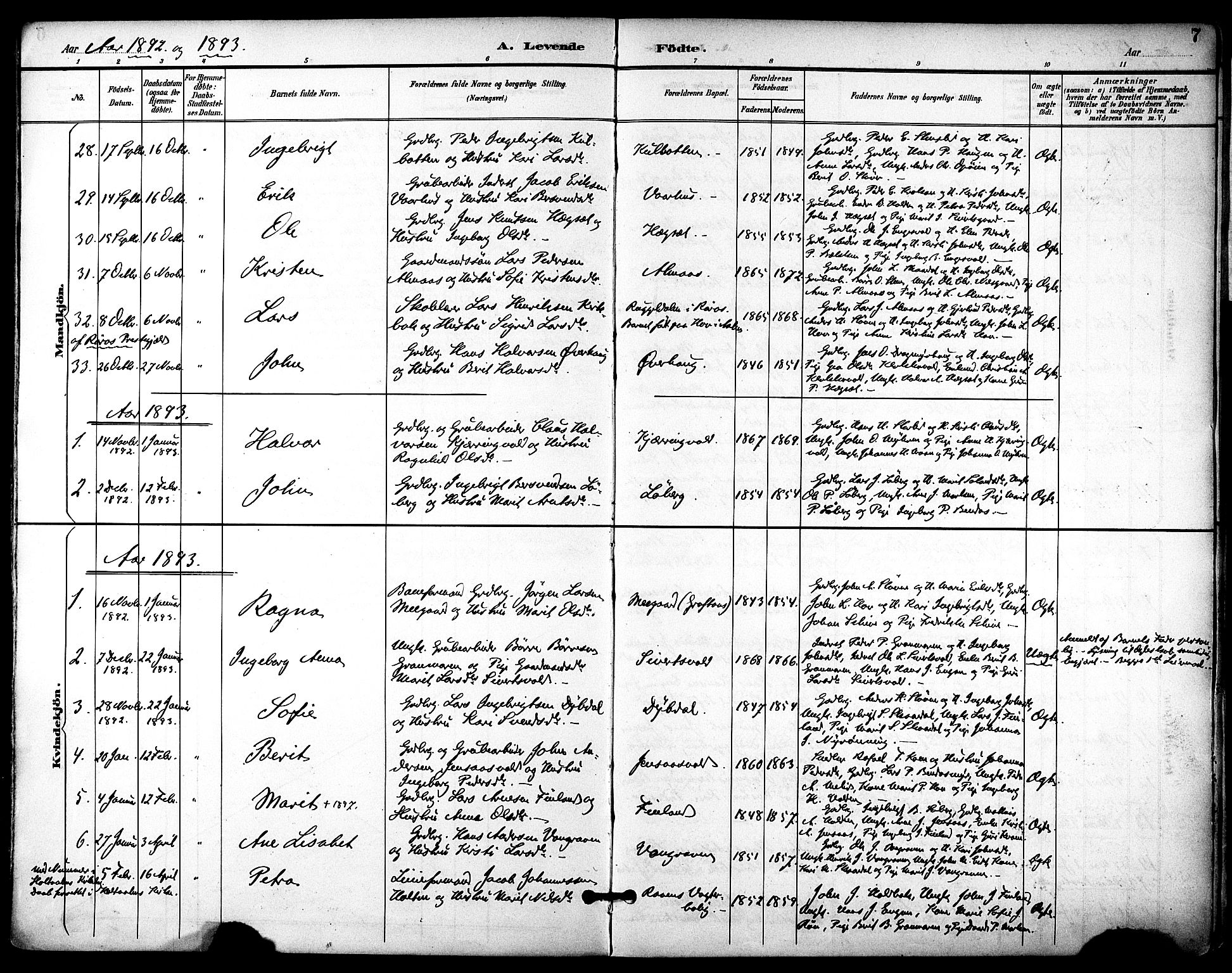 Ministerialprotokoller, klokkerbøker og fødselsregistre - Sør-Trøndelag, AV/SAT-A-1456/686/L0984: Parish register (official) no. 686A02, 1891-1906, p. 7