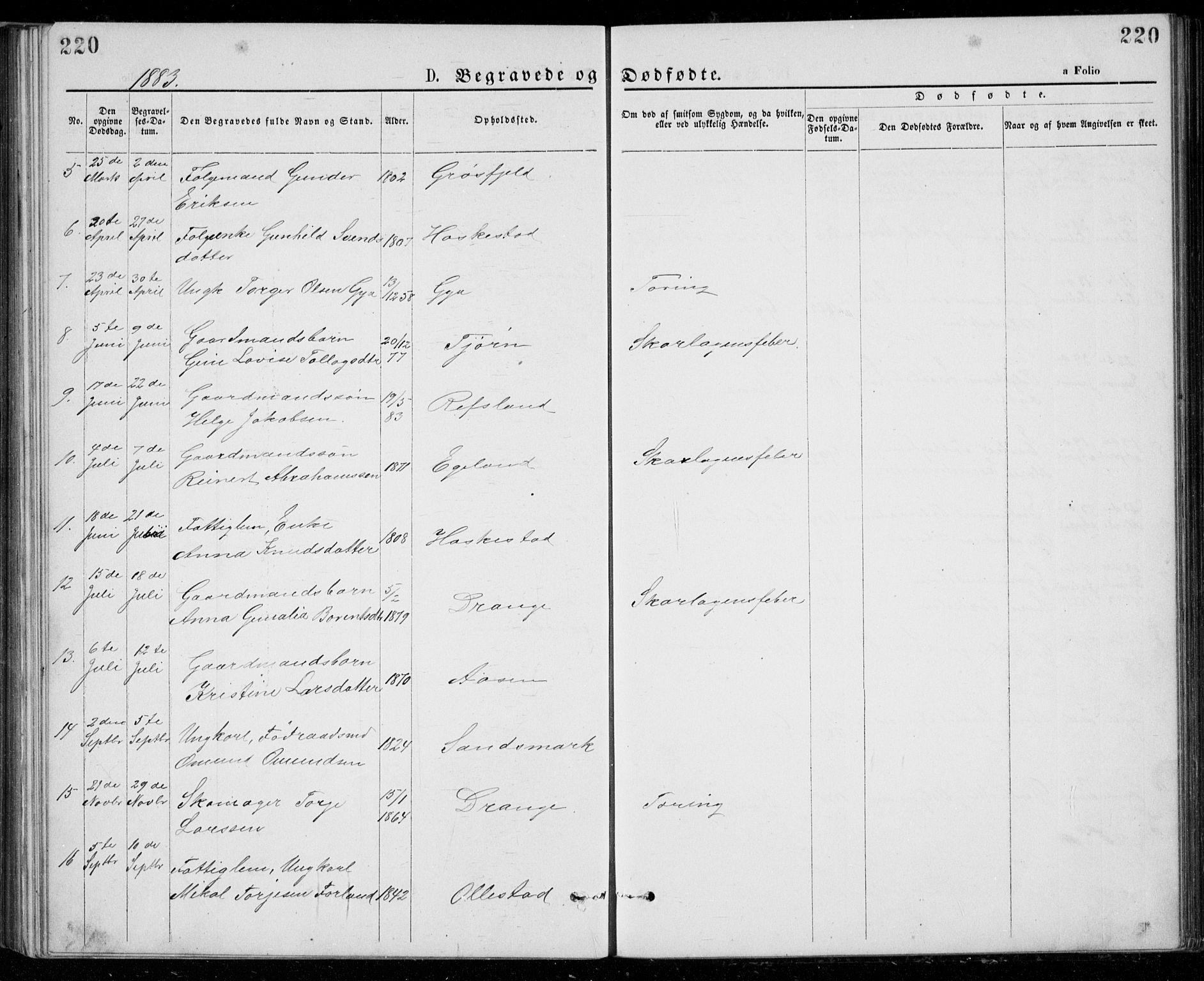 Lund sokneprestkontor, AV/SAST-A-101809/S07/L0005: Parish register (copy) no. B 5, 1875-1889, p. 220