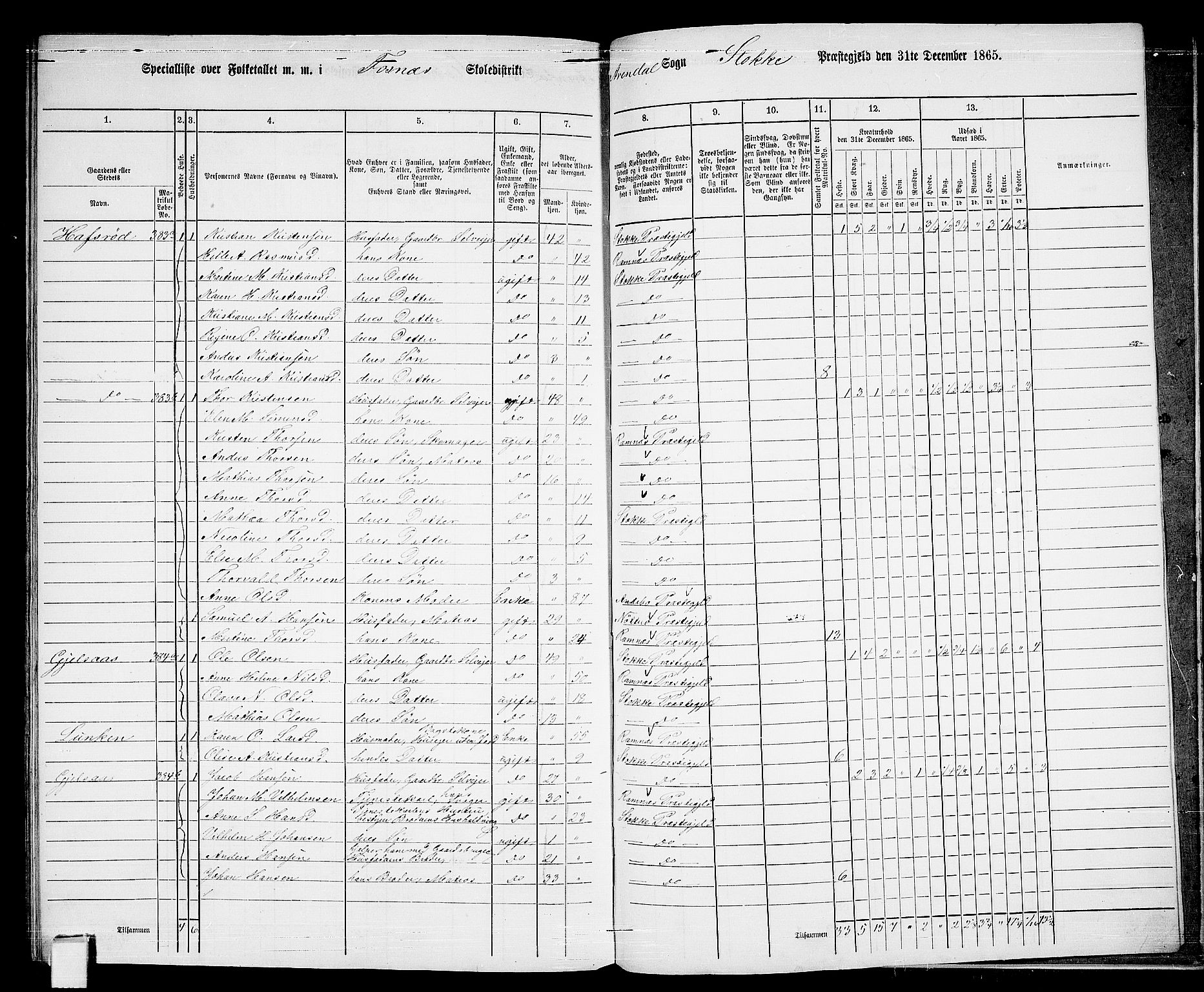 RA, 1865 census for Stokke, 1865, p. 185