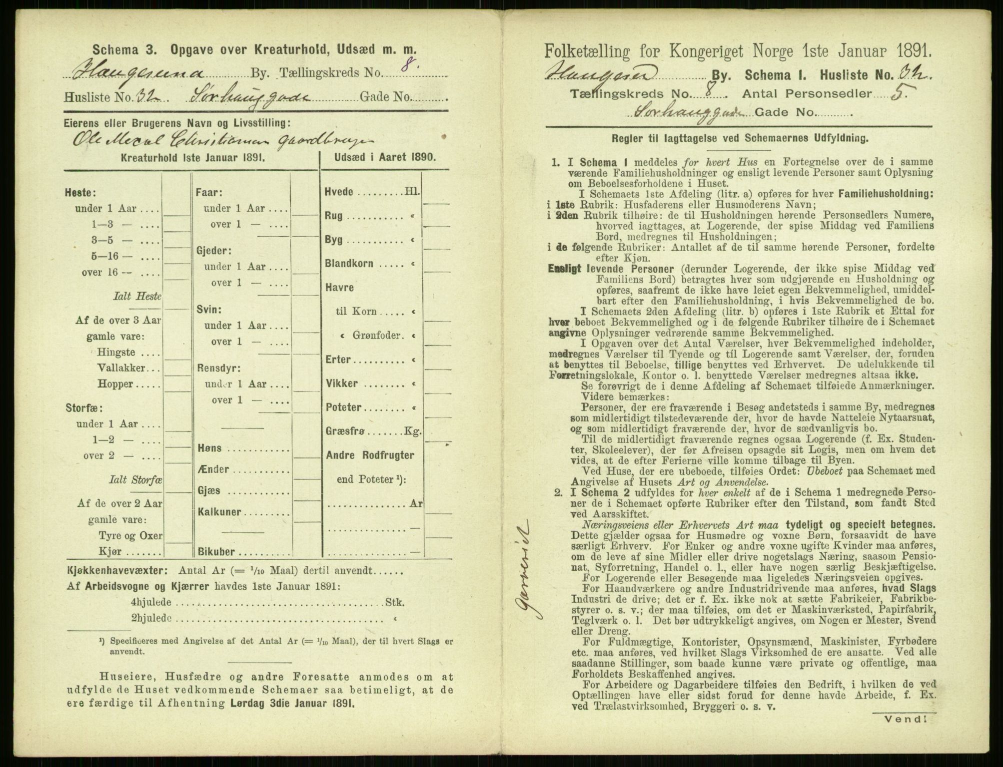 RA, 1891 census for 1106 Haugesund, 1891, p. 635