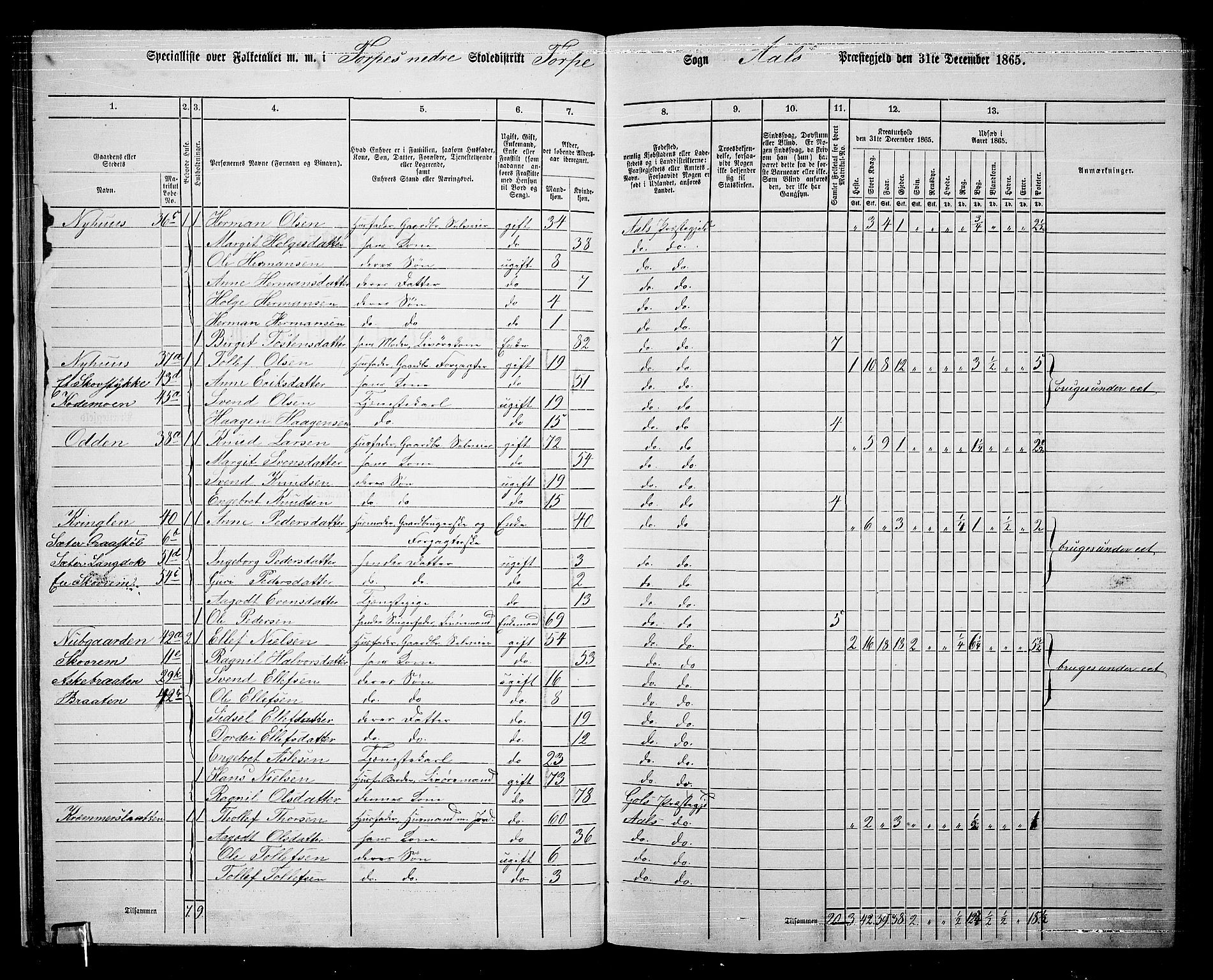 RA, 1865 census for Ål, 1865, p. 36