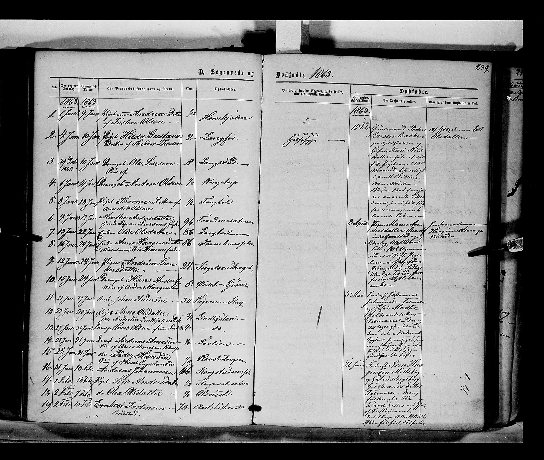 Eidskog prestekontor, AV/SAH-PREST-026/H/Ha/Haa/L0001: Parish register (official) no. 1, 1860-1867, p. 239