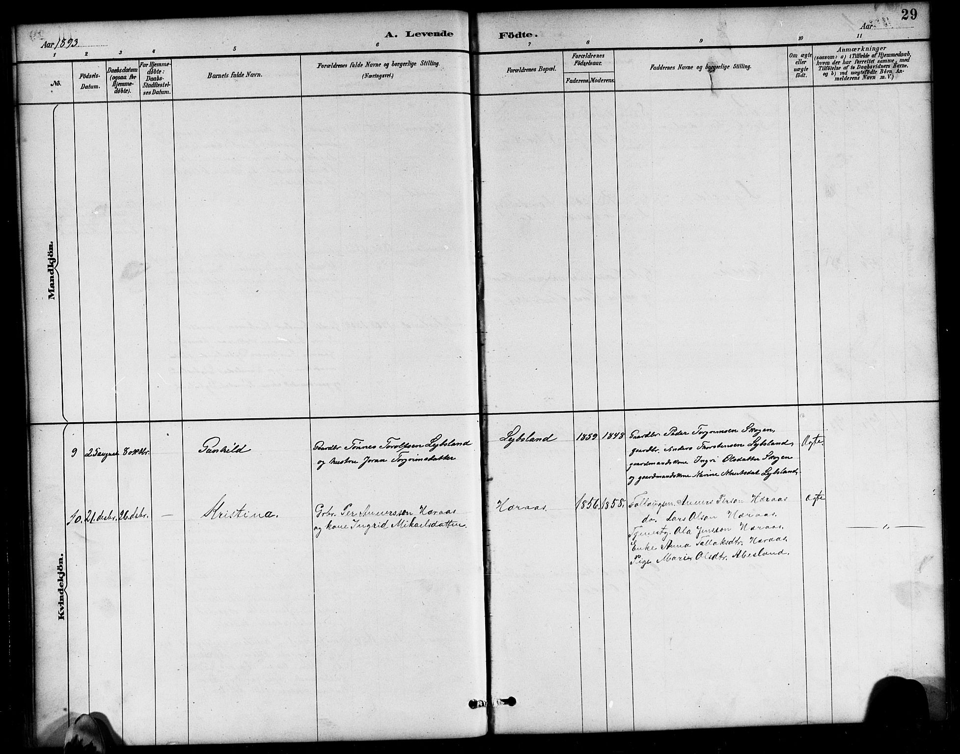 Bjelland sokneprestkontor, SAK/1111-0005/F/Fb/Fbb/L0005: Parish register (copy) no. B 5, 1887-1918, p. 29