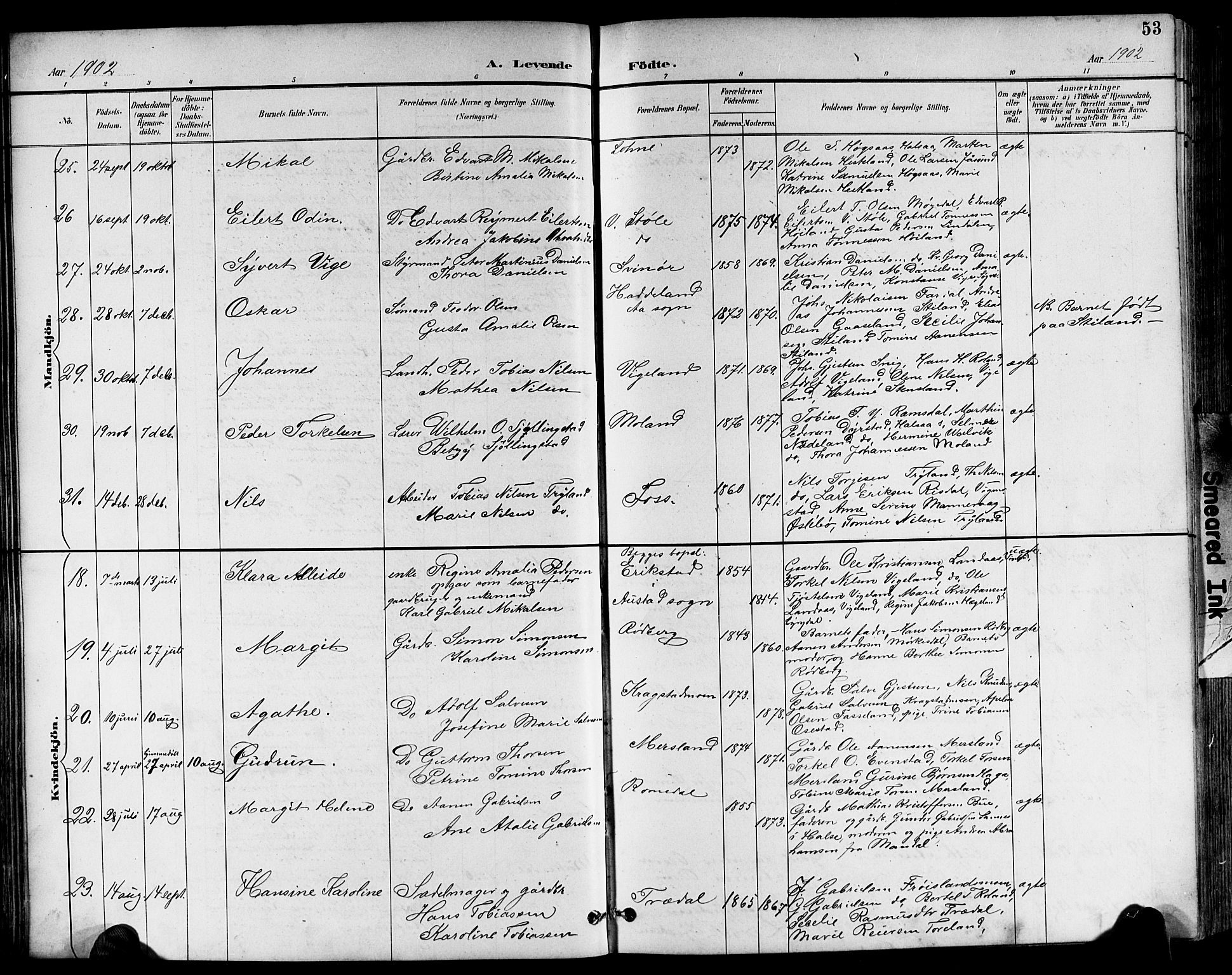 Sør-Audnedal sokneprestkontor, AV/SAK-1111-0039/F/Fb/Fbb/L0006: Parish register (copy) no. B 6, 1893-1915, p. 53