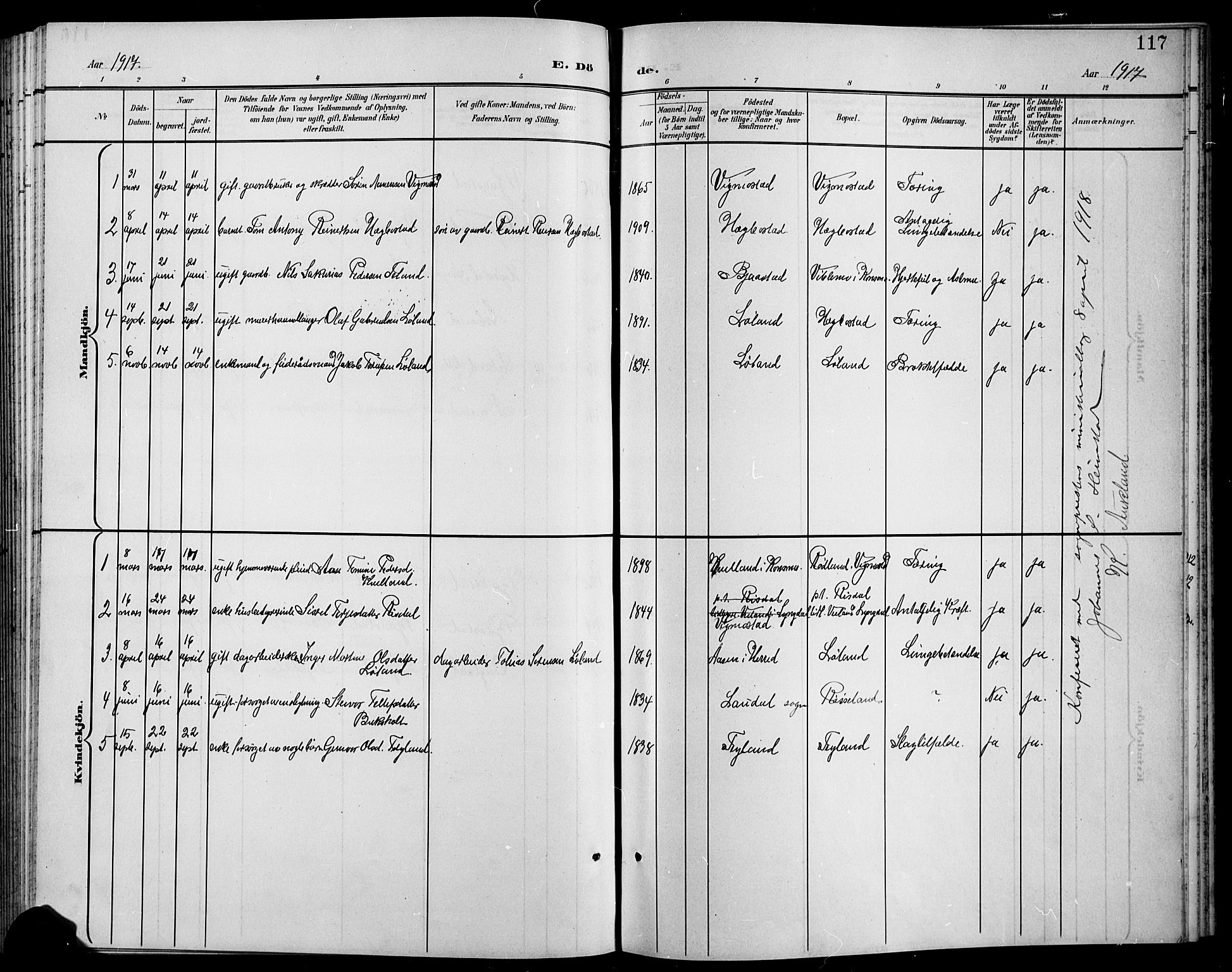 Nord-Audnedal sokneprestkontor, AV/SAK-1111-0032/F/Fb/Fbb/L0004: Parish register (copy) no. B 4, 1901-1917, p. 117