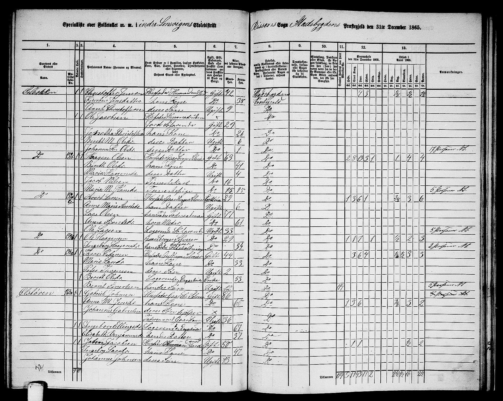 RA, 1865 census for Stadsbygd, 1865, p. 197