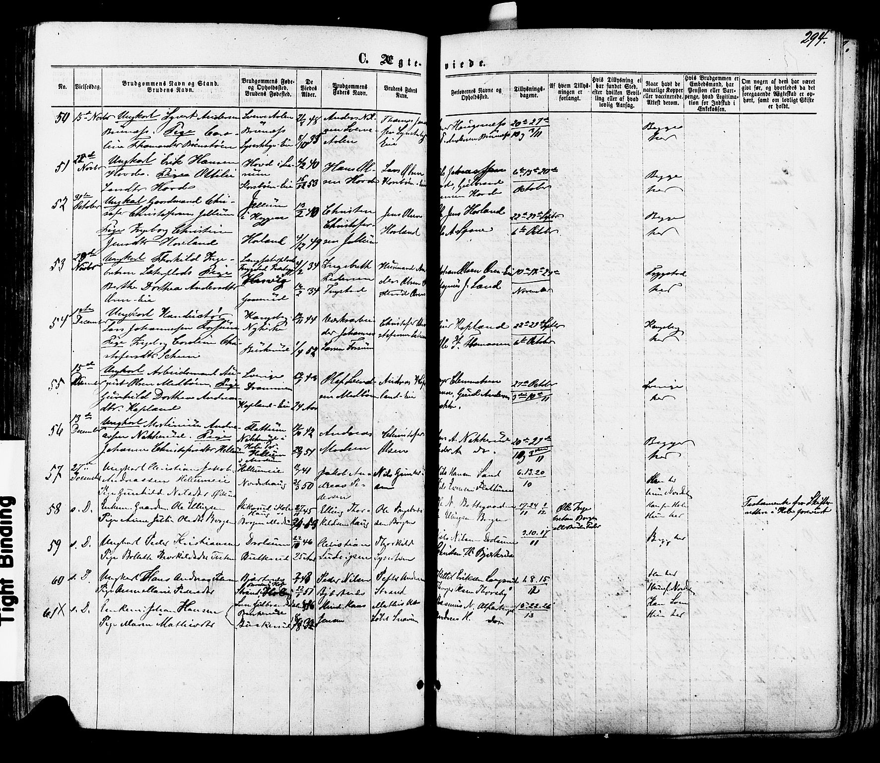 Modum kirkebøker, AV/SAKO-A-234/F/Fa/L0010: Parish register (official) no. 10, 1865-1876, p. 294