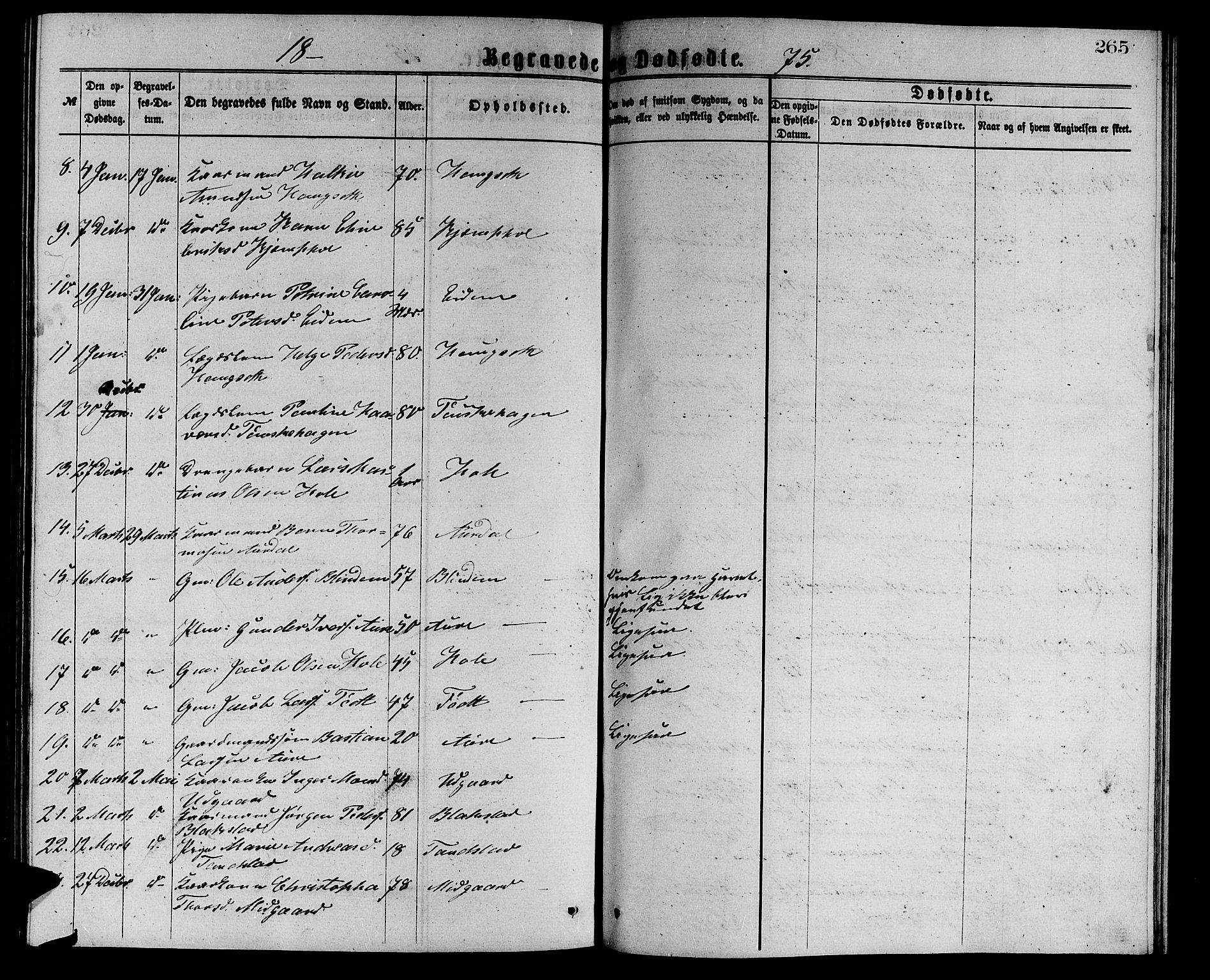 Ministerialprotokoller, klokkerbøker og fødselsregistre - Møre og Romsdal, AV/SAT-A-1454/523/L0338: Parish register (copy) no. 523C01, 1865-1877, p. 265