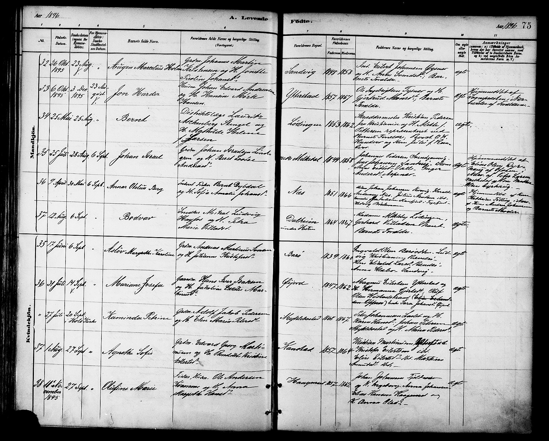 Ministerialprotokoller, klokkerbøker og fødselsregistre - Nordland, AV/SAT-A-1459/872/L1035: Parish register (official) no. 872A10, 1884-1896, p. 75