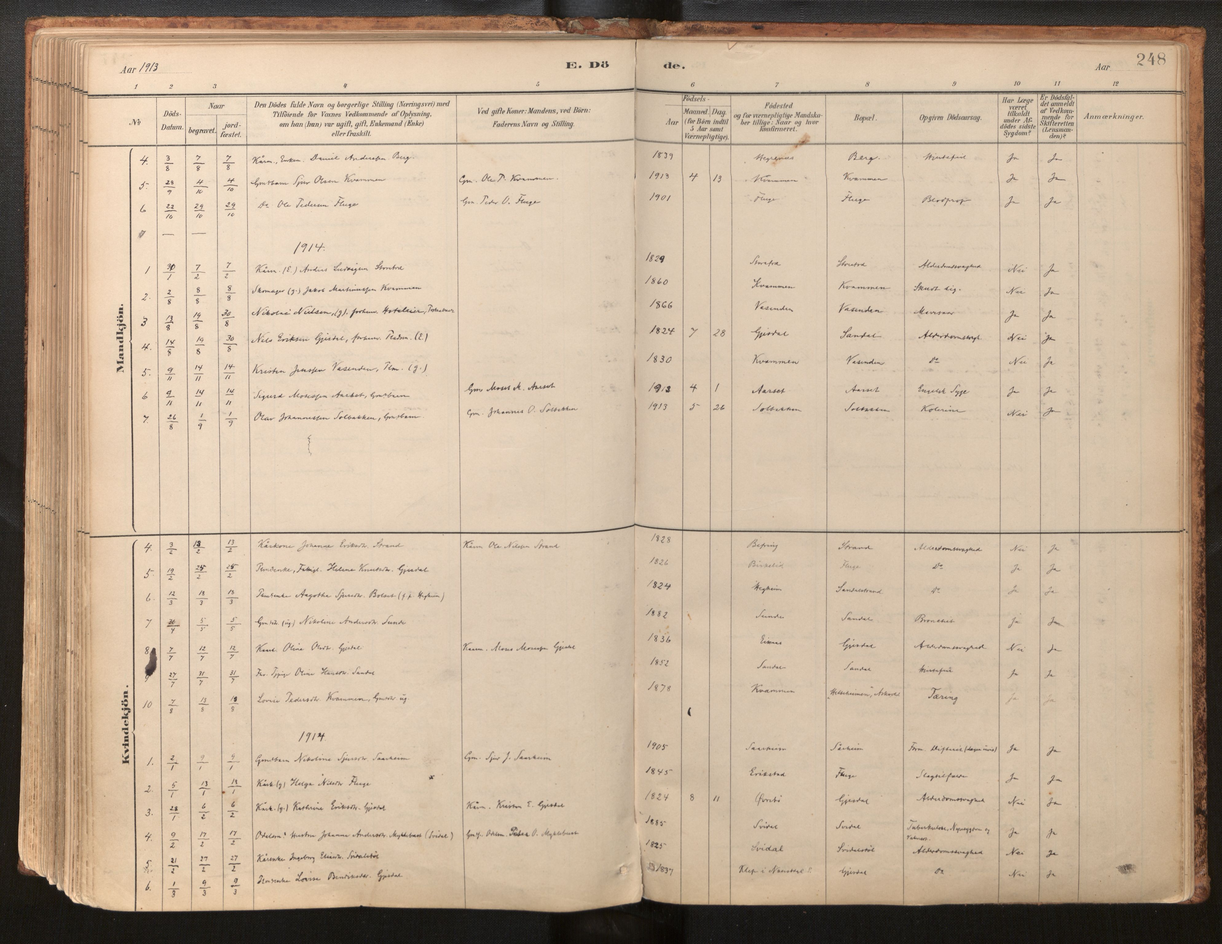 Jølster sokneprestembete, AV/SAB-A-80701/H/Haa/Haab/L0001: Parish register (official) no. B 1, 1882-1930, p. 248