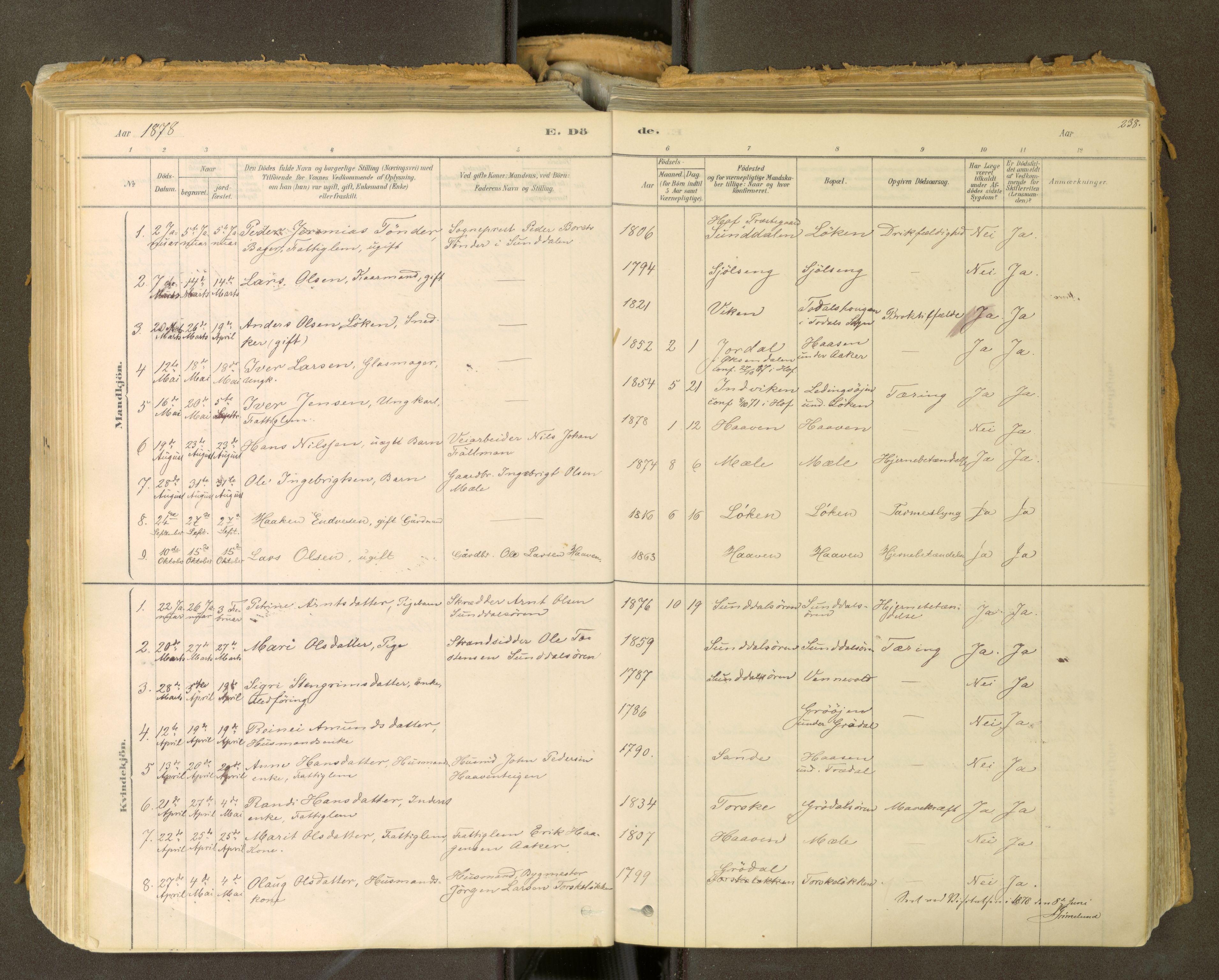 Sunndal sokneprestkontor, SAT/A-1085/1/I/I1/I1a: Parish register (official) no. 2, 1877-1914, p. 238