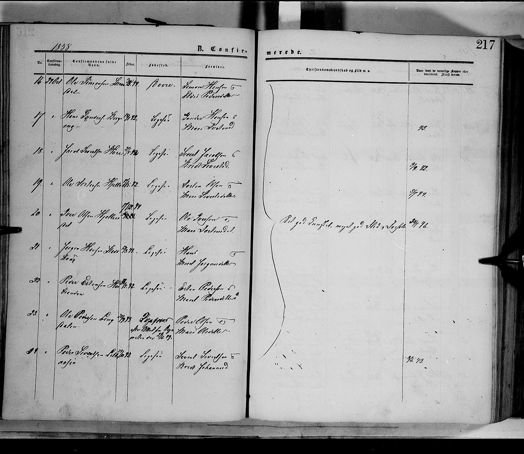 Dovre prestekontor, AV/SAH-PREST-066/H/Ha/Haa/L0001: Parish register (official) no. 1, 1854-1878, p. 217