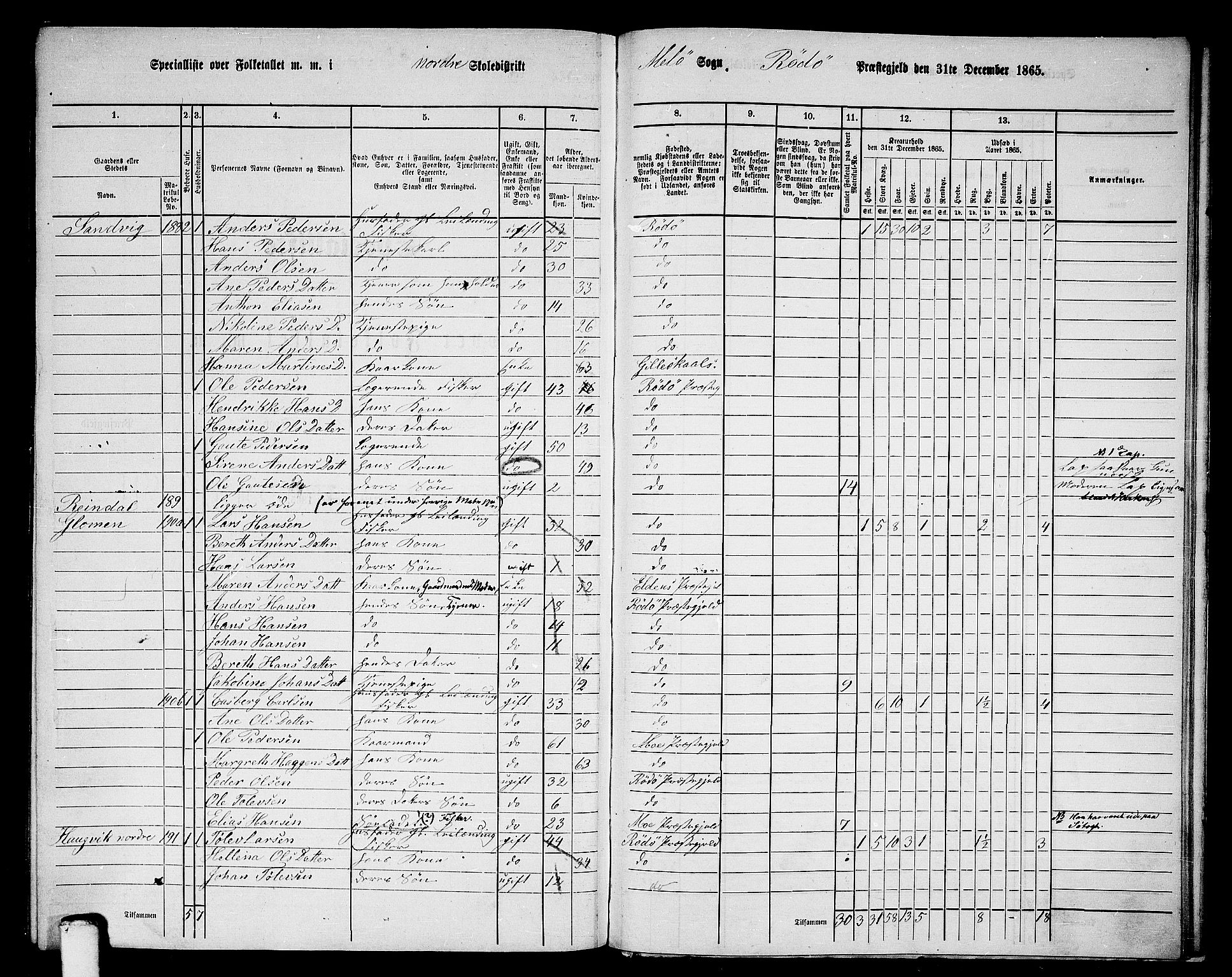 RA, 1865 census for Rødøy, 1865, p. 133