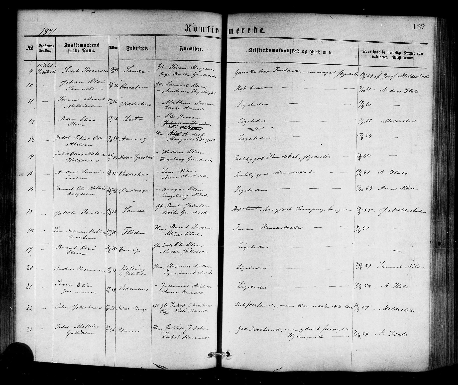 Selje sokneprestembete, SAB/A-99938/H/Ha/Haa/Haaa: Parish register (official) no. A 12, 1870-1880, p. 137