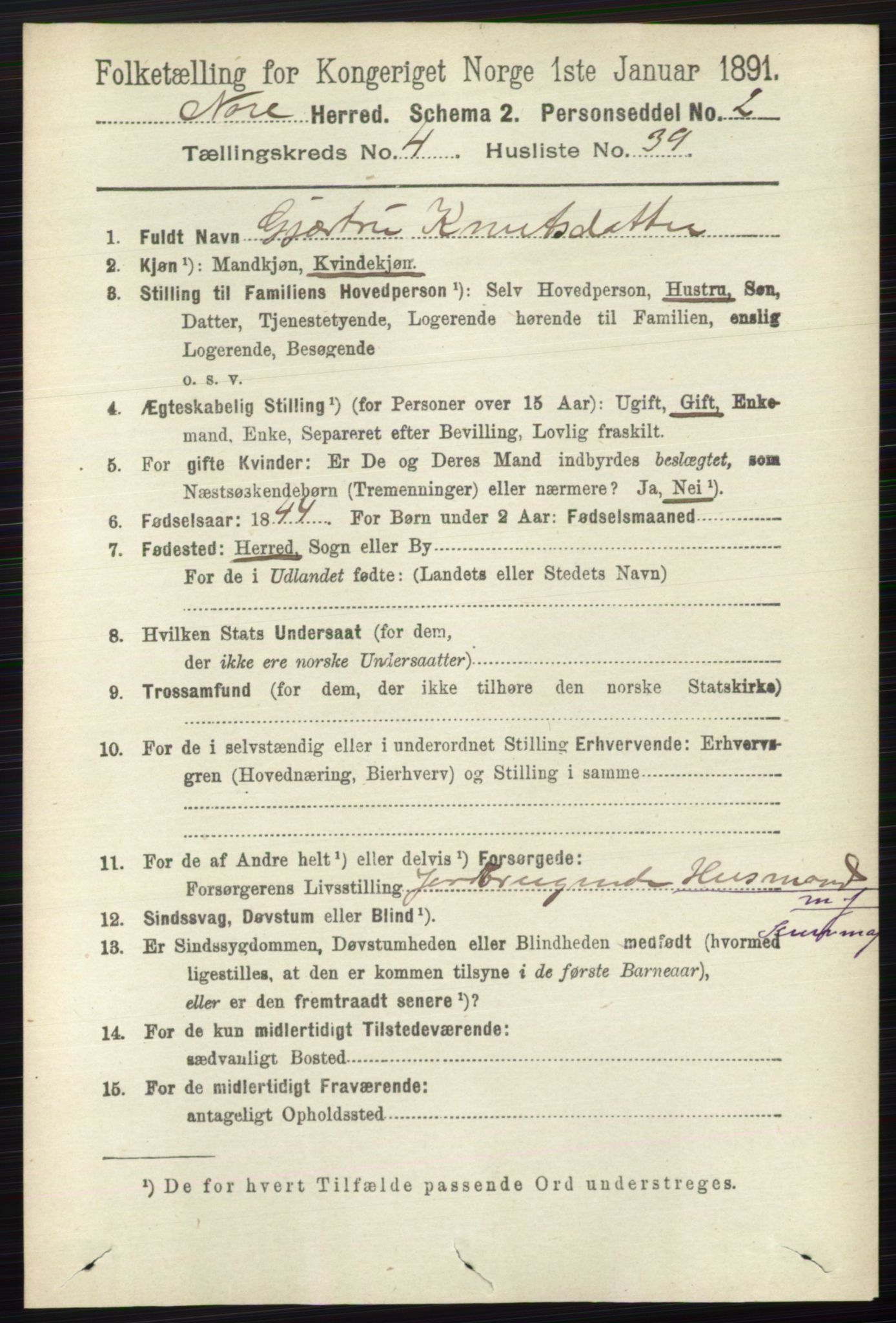 RA, 1891 census for 0633 Nore, 1891, p. 1495