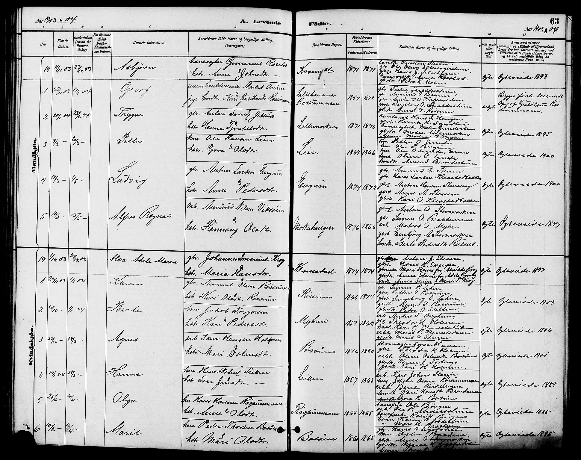 Nord-Fron prestekontor, AV/SAH-PREST-080/H/Ha/Hab/L0006: Parish register (copy) no. 6, 1887-1914, p. 63