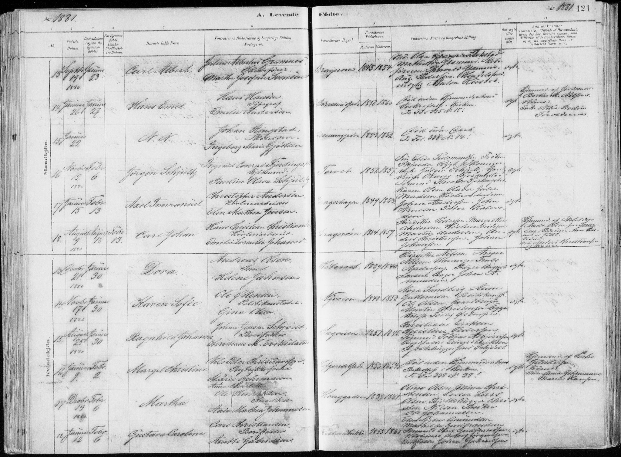 Bragernes kirkebøker, SAKO/A-6/F/Fb/L0006a: Parish register (official) no. II 6A, 1878-1885, p. 121