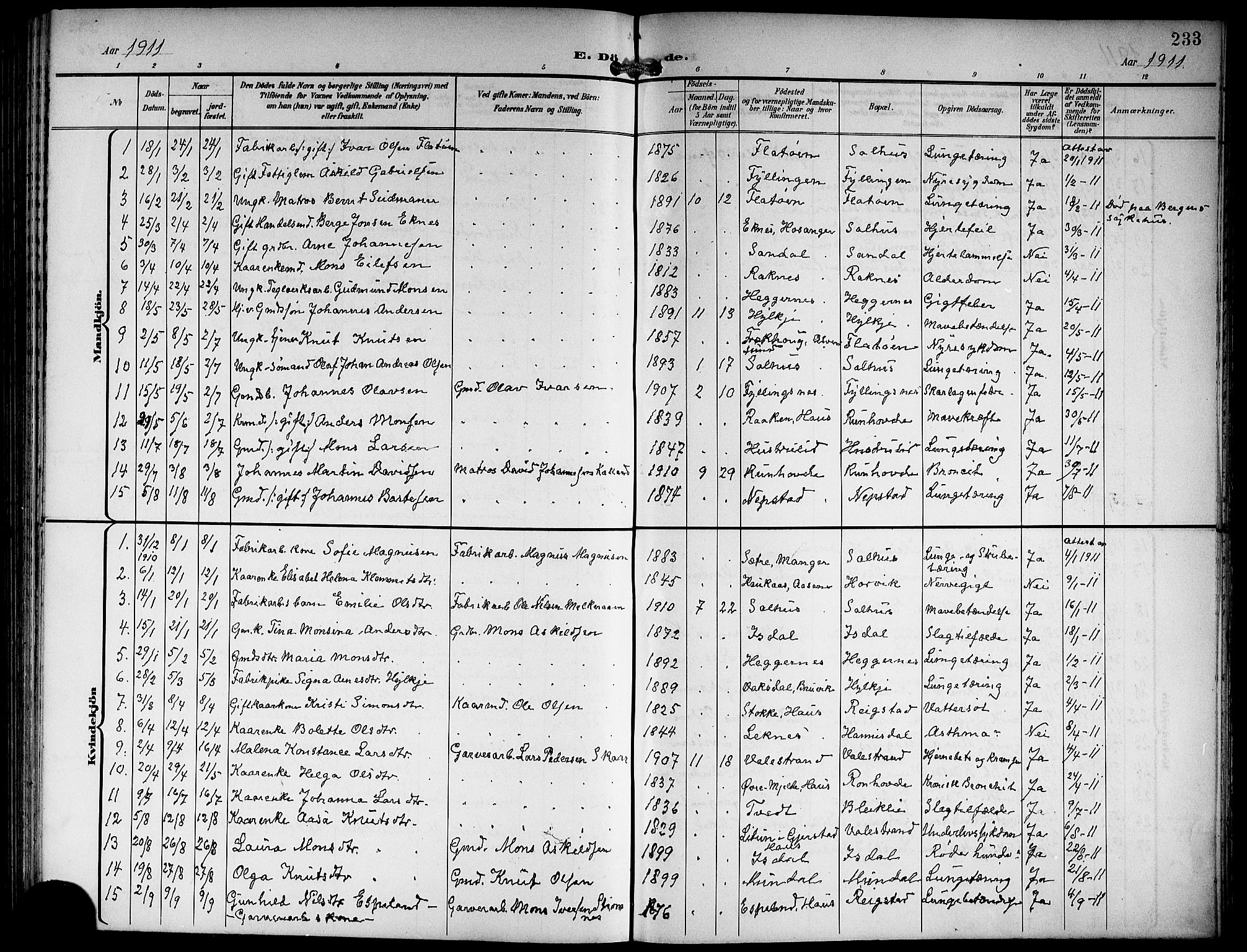 Hamre sokneprestembete, SAB/A-75501/H/Ha/Hab: Parish register (copy) no. B 4, 1898-1919, p. 233