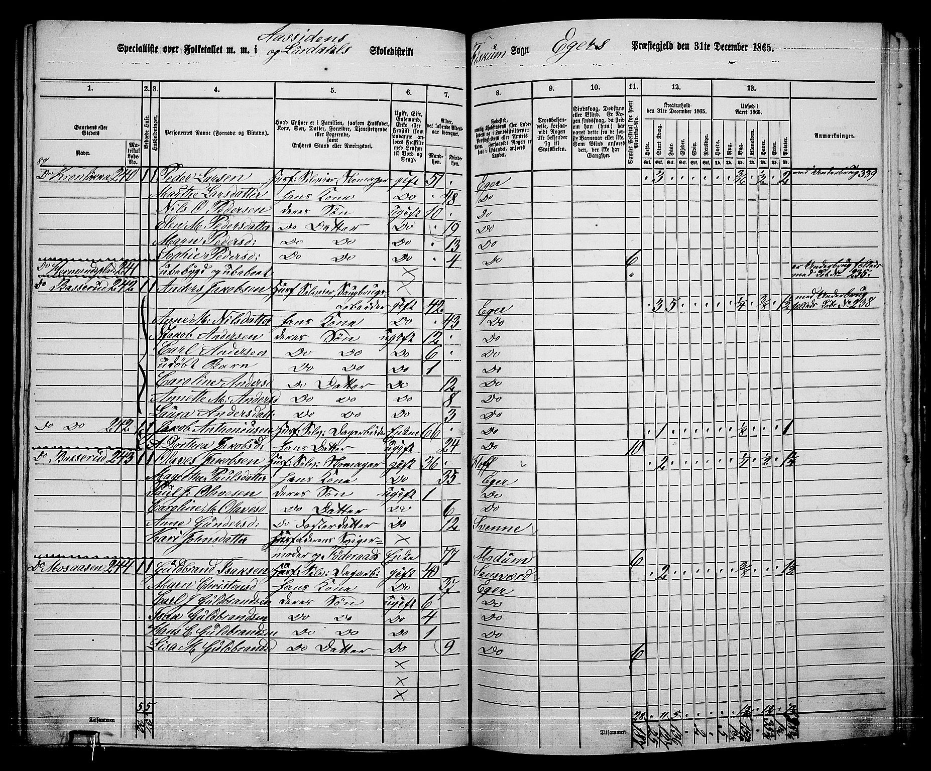 RA, 1865 census for Eiker, 1865, p. 502