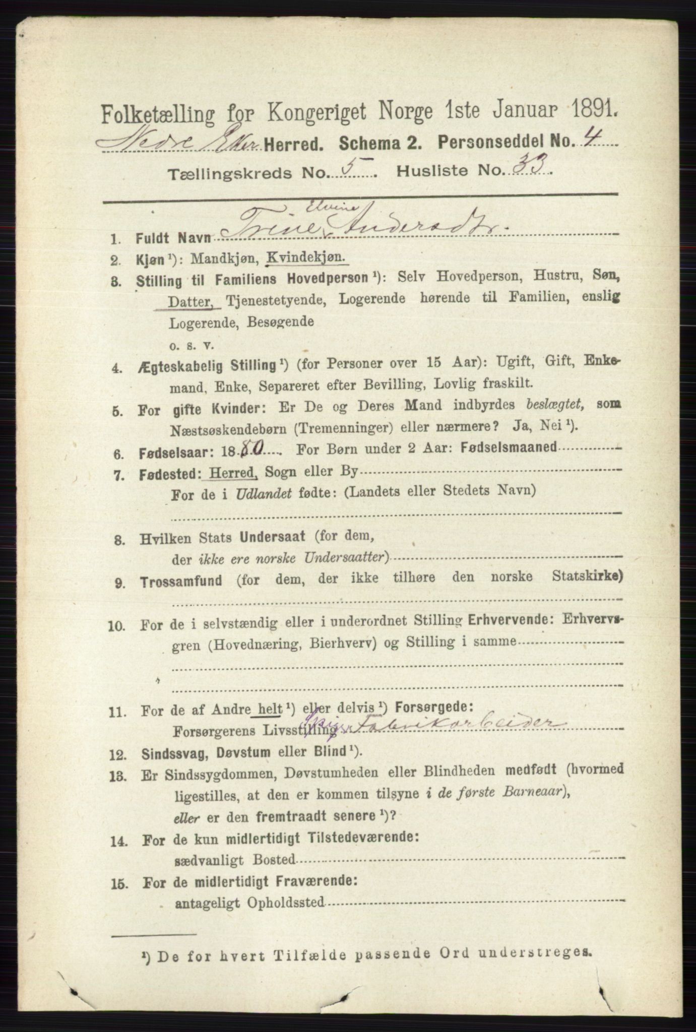 RA, 1891 census for 0625 Nedre Eiker, 1891, p. 2513