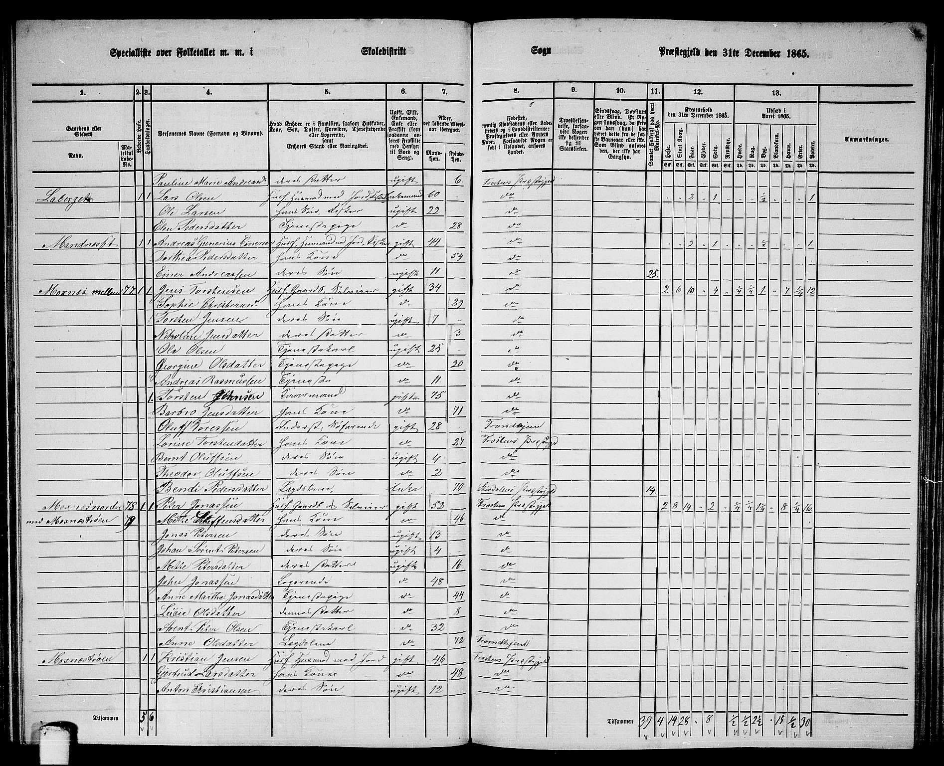 RA, 1865 census for Frosta, 1865, p. 78