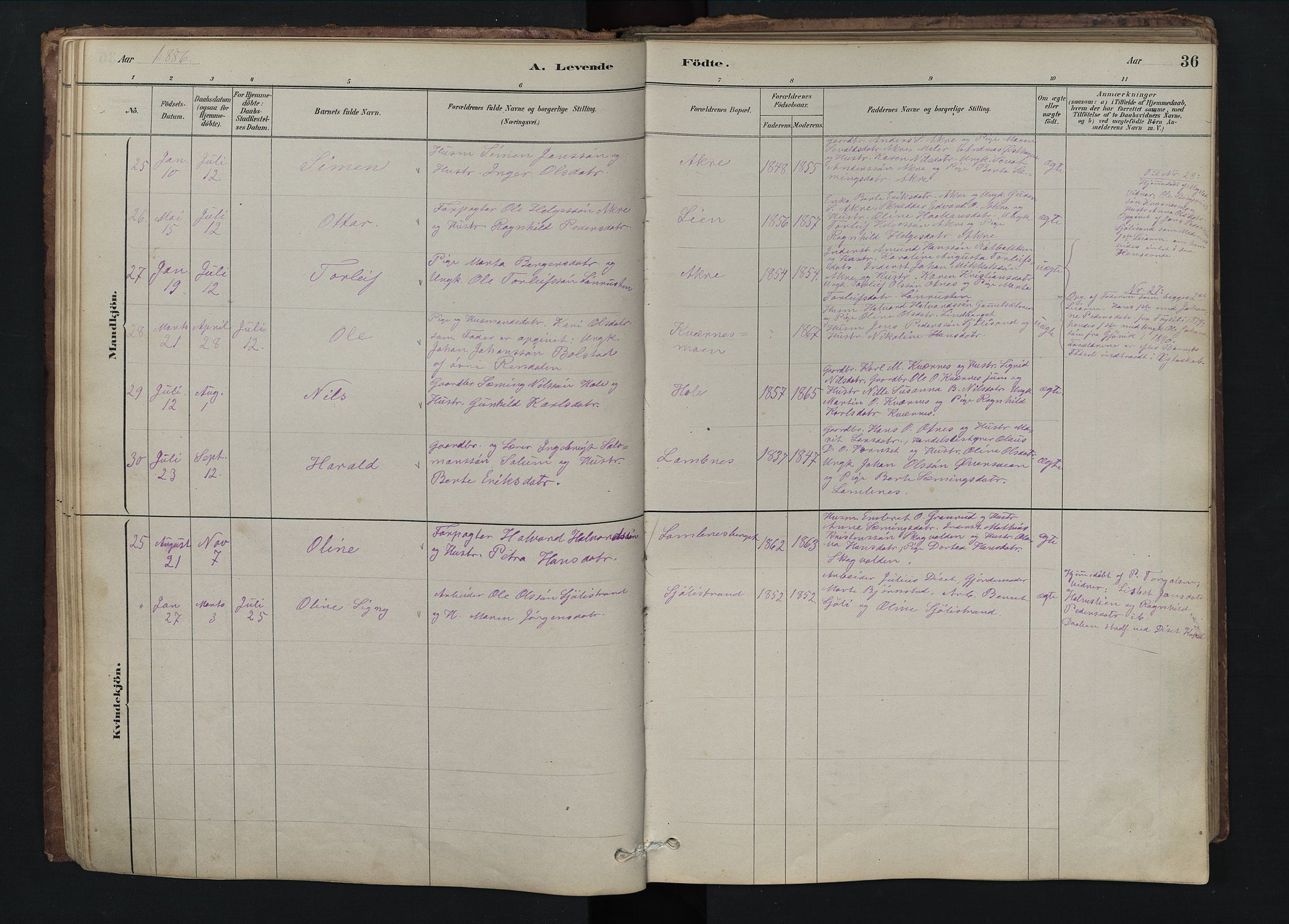 Rendalen prestekontor, SAH/PREST-054/H/Ha/Hab/L0009: Parish register (copy) no. 9, 1879-1902, p. 36