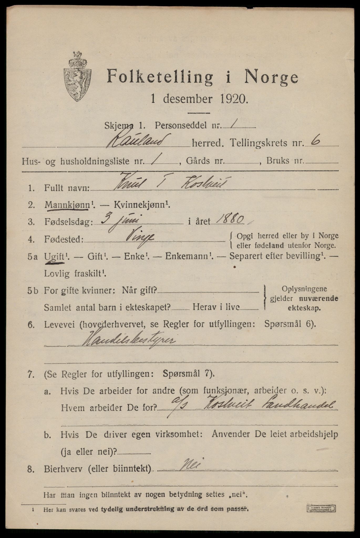 SAKO, 1920 census for Rauland, 1920, p. 1254