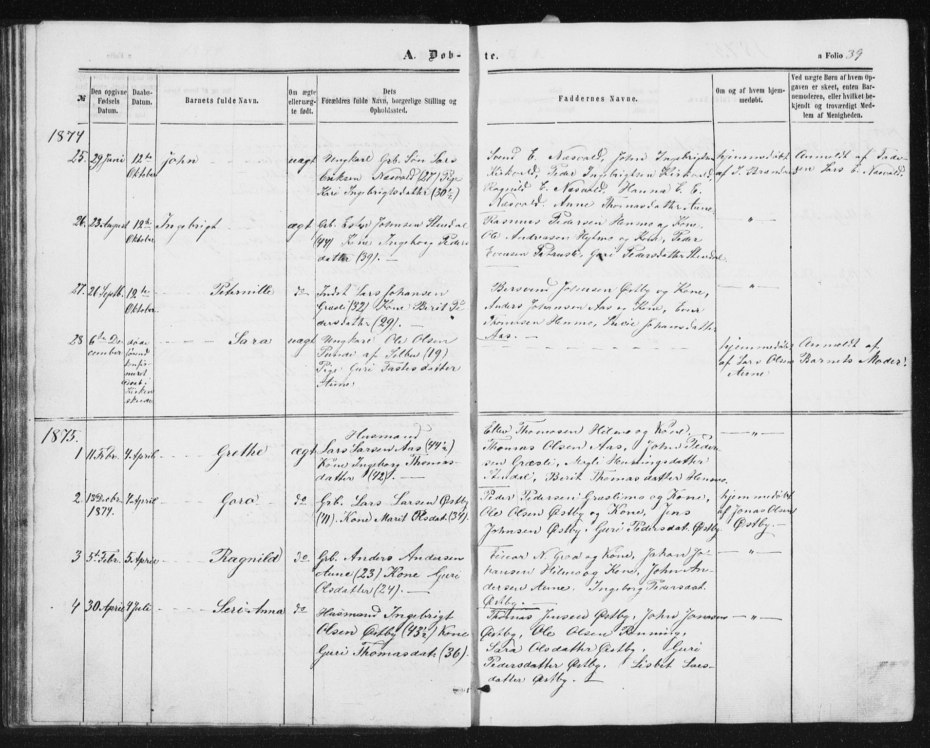 Ministerialprotokoller, klokkerbøker og fødselsregistre - Sør-Trøndelag, AV/SAT-A-1456/698/L1166: Parish register (copy) no. 698C03, 1861-1887, p. 39