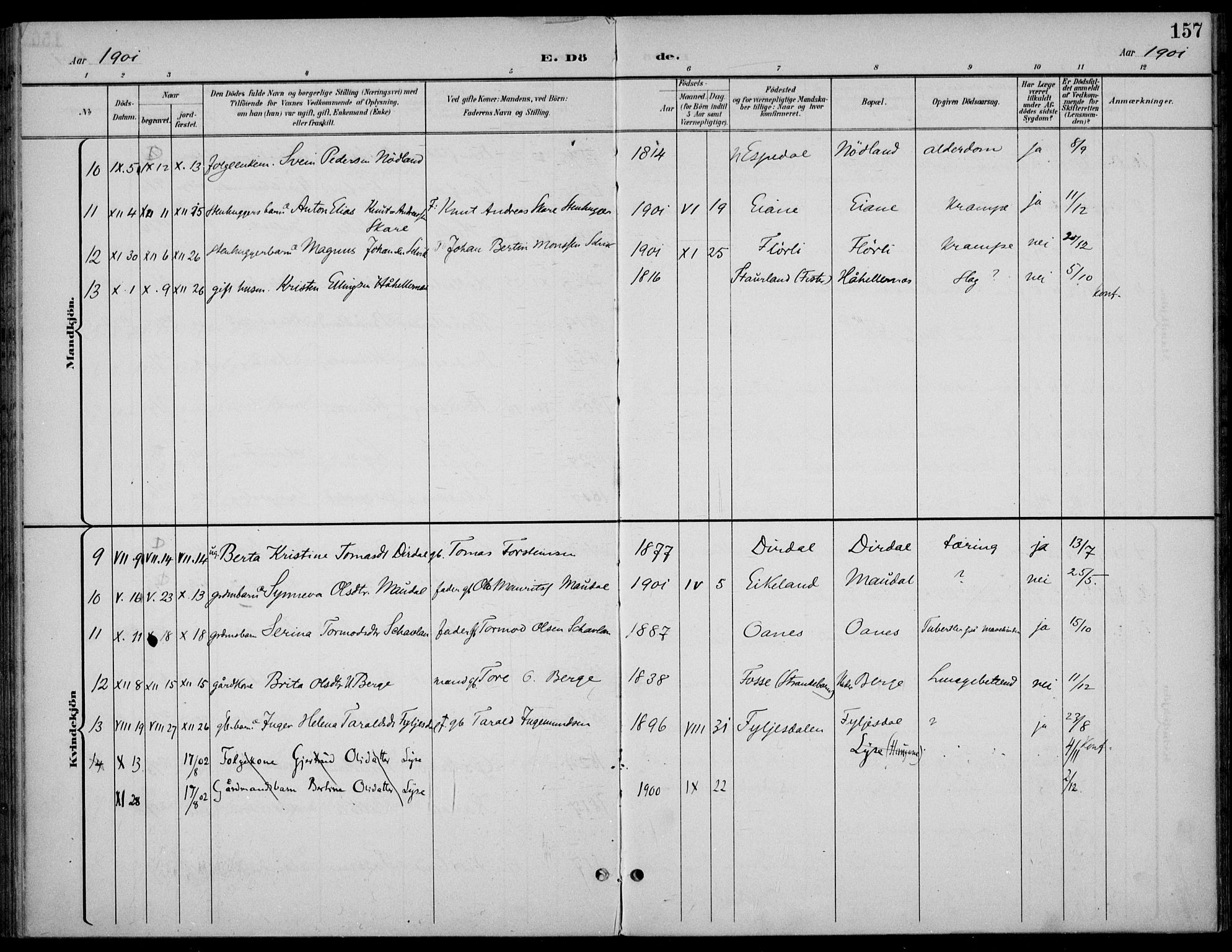 Høgsfjord sokneprestkontor, AV/SAST-A-101624/H/Ha/Haa/L0007: Parish register (official) no. A 7, 1898-1917, p. 157