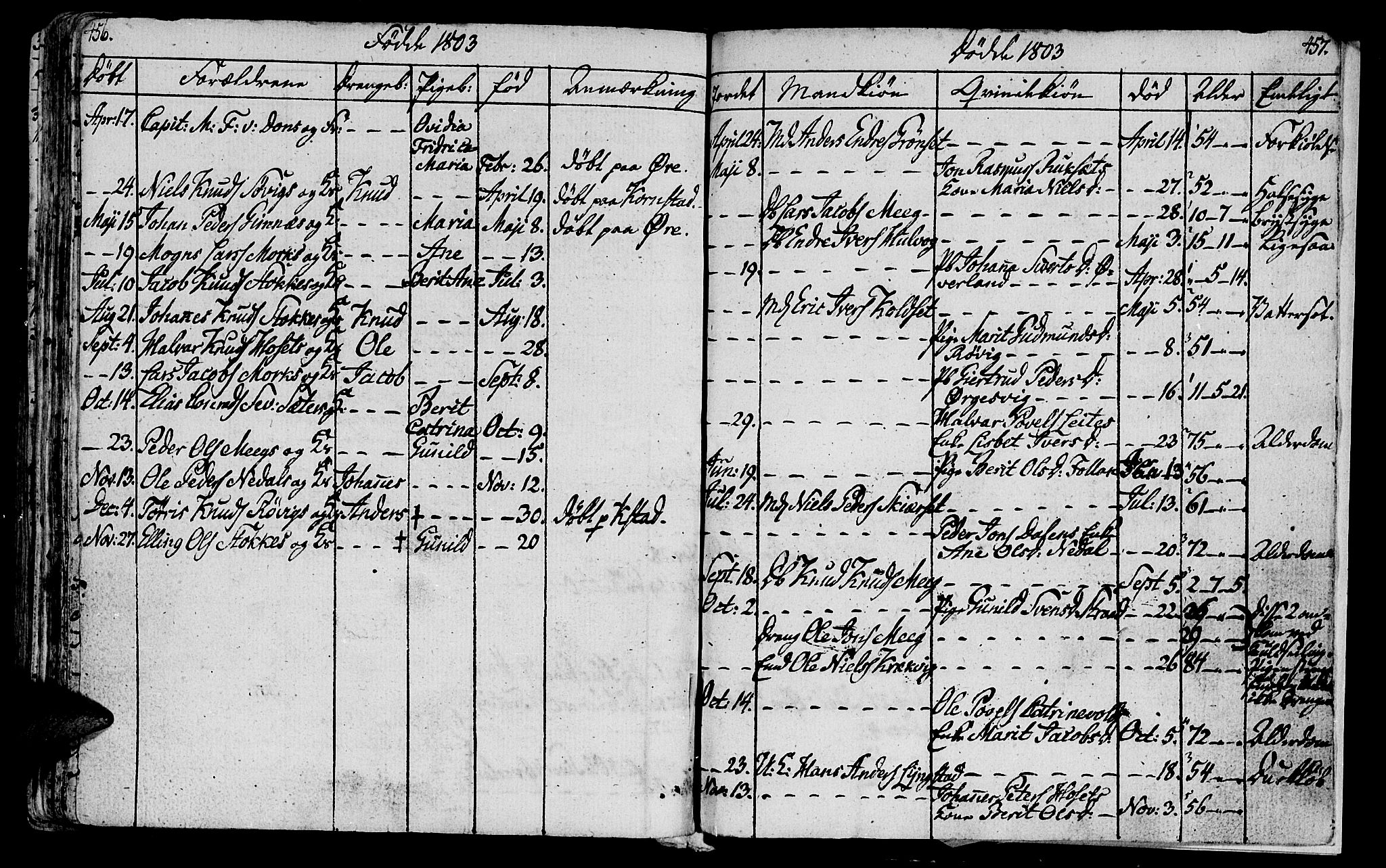 Ministerialprotokoller, klokkerbøker og fødselsregistre - Møre og Romsdal, AV/SAT-A-1454/568/L0799: Parish register (official) no. 568A08, 1780-1819, p. 456-457