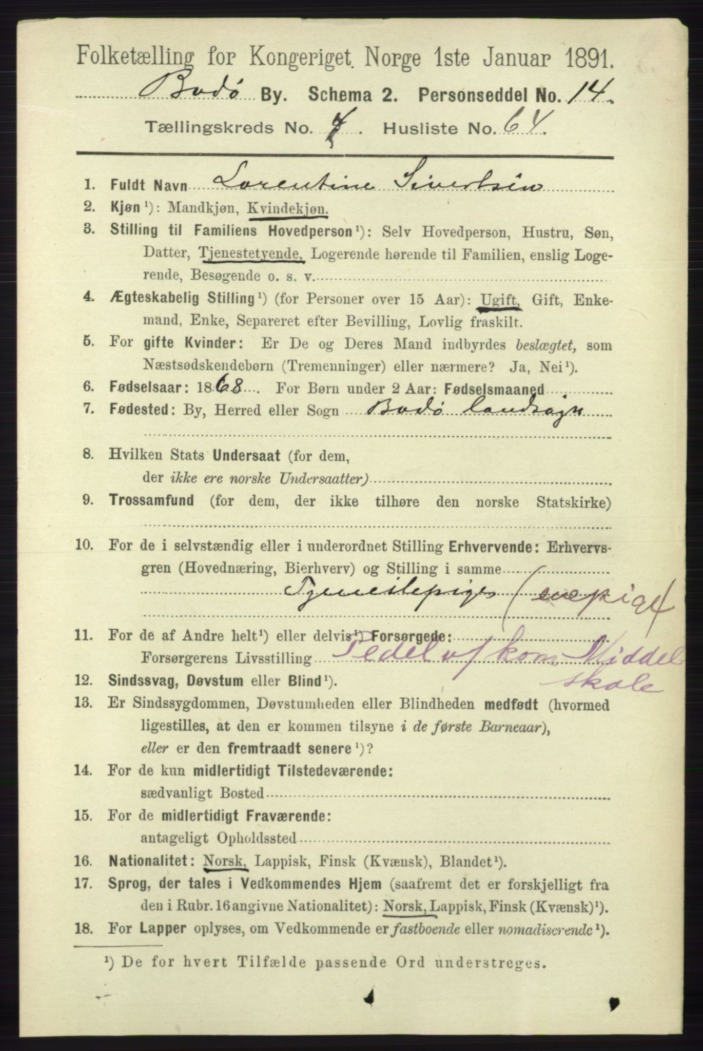 RA, 1891 census for 1804 Bodø, 1891, p. 3801