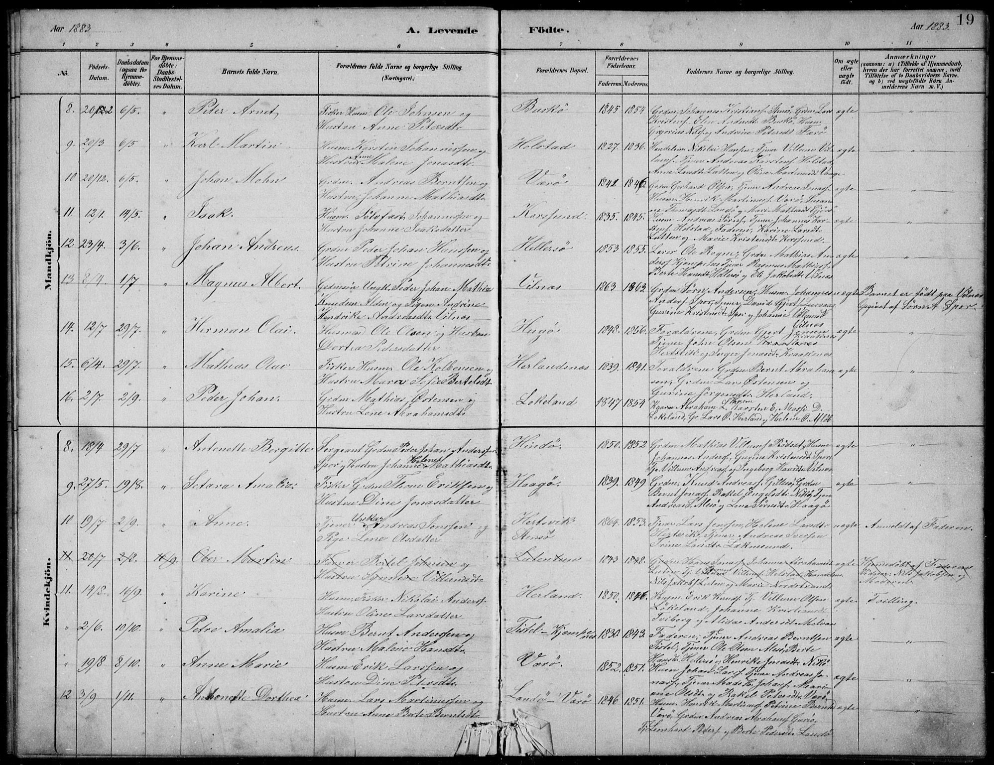 Askvoll sokneprestembete, SAB/A-79501/H/Hab/Habb/L0001: Parish register (copy) no. B 1, 1879-1909, p. 19