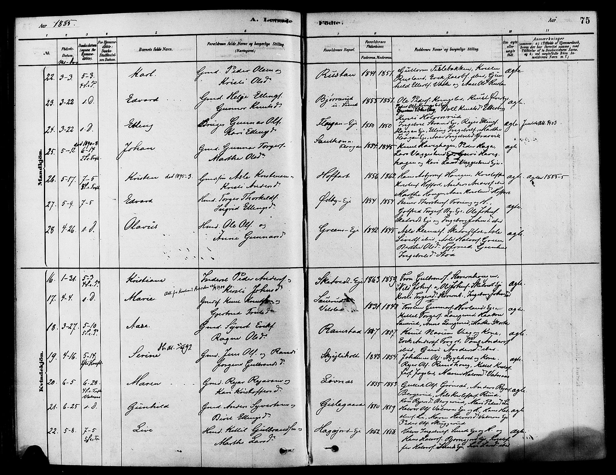 Sigdal kirkebøker, AV/SAKO-A-245/F/Fa/L0011: Parish register (official) no. I 11, 1879-1887, p. 75