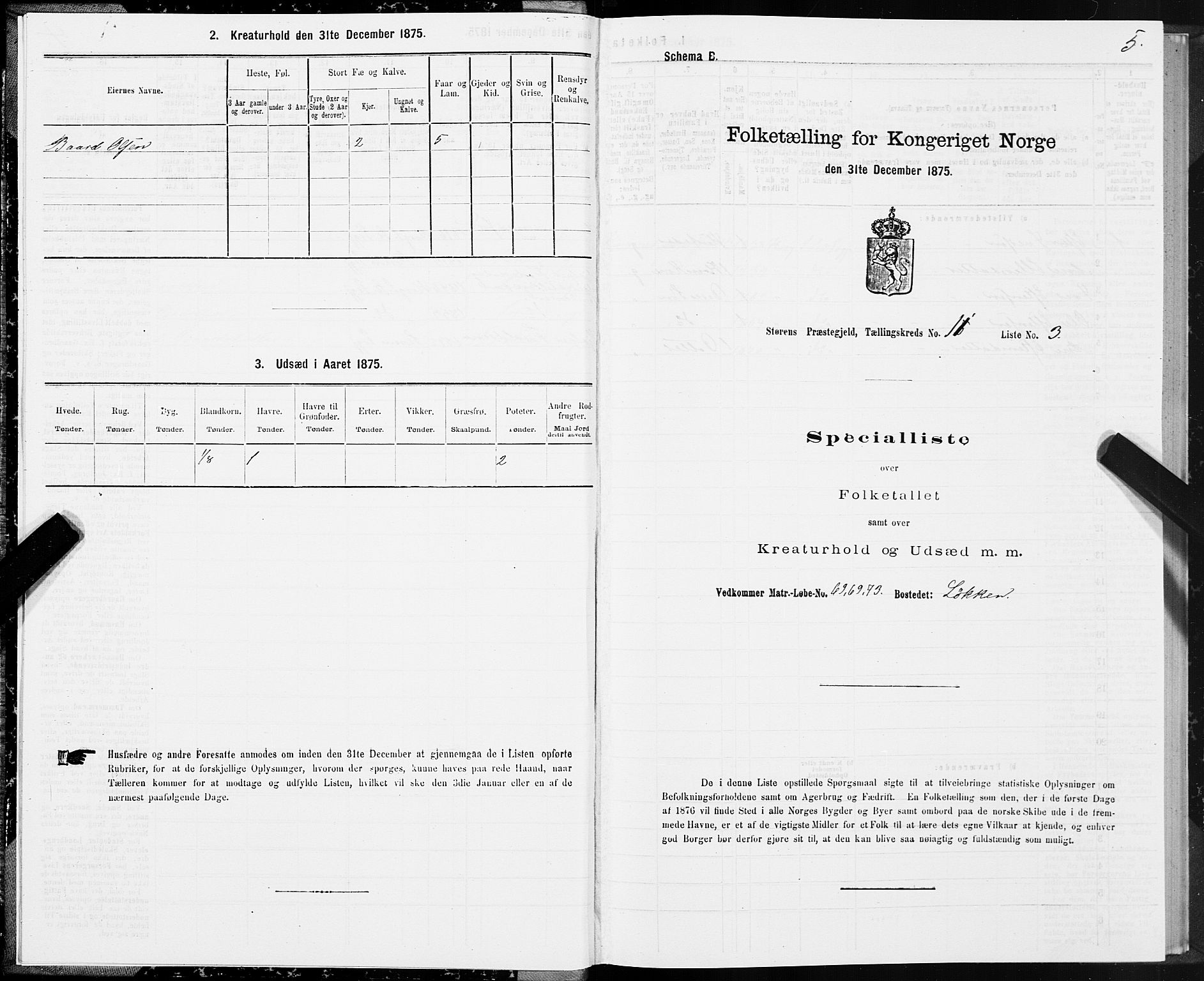 SAT, 1875 census for 1648P Støren, 1875, p. 6005