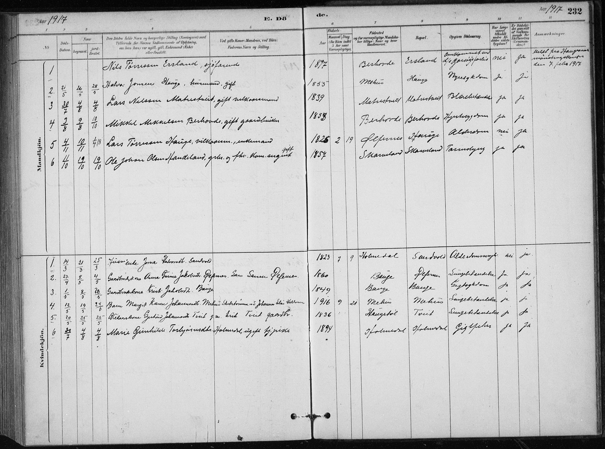 Skånevik sokneprestembete, AV/SAB-A-77801/H/Haa: Parish register (official) no. C  1, 1879-1917, p. 232