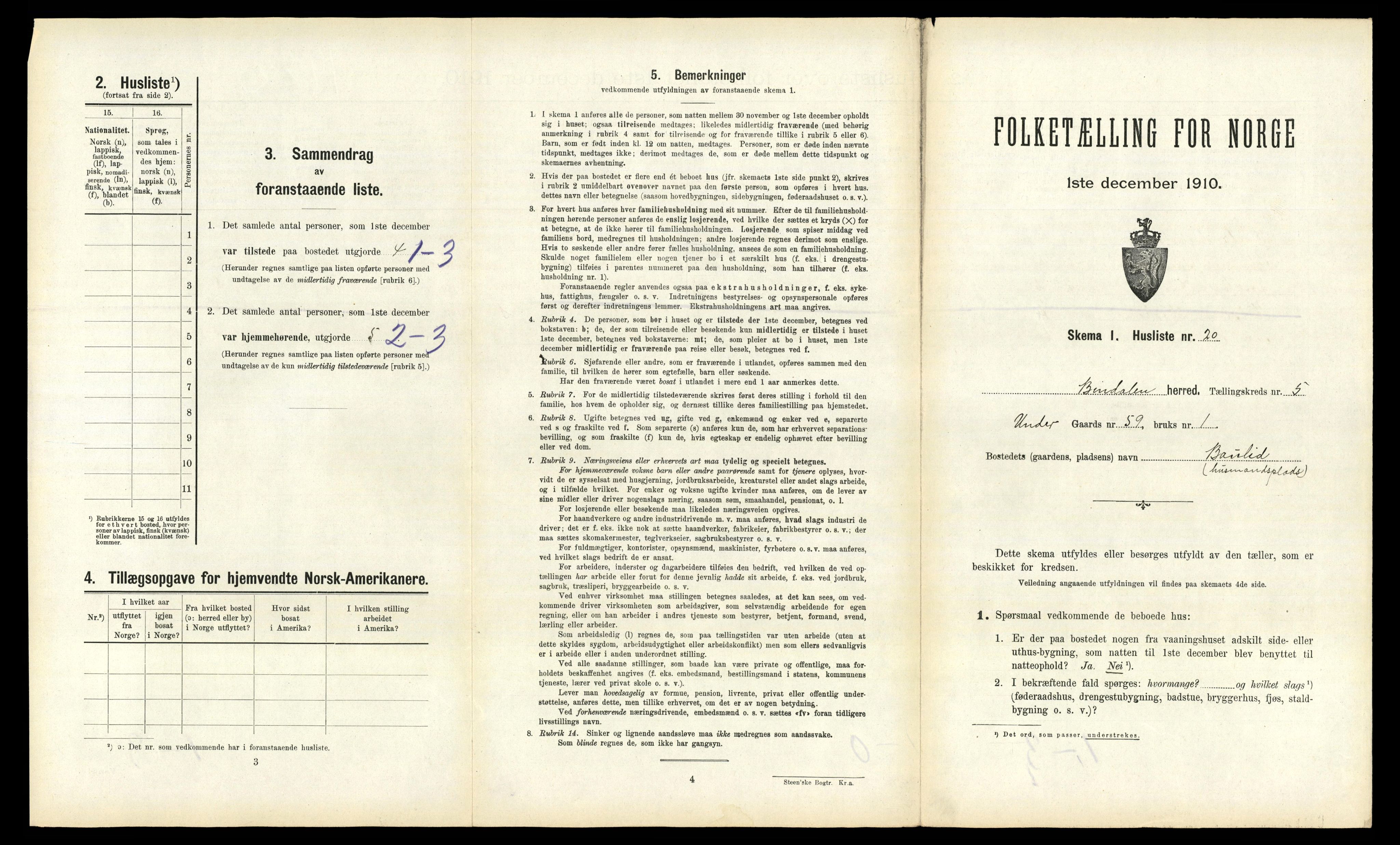 RA, 1910 census for Bindal, 1910, p. 464