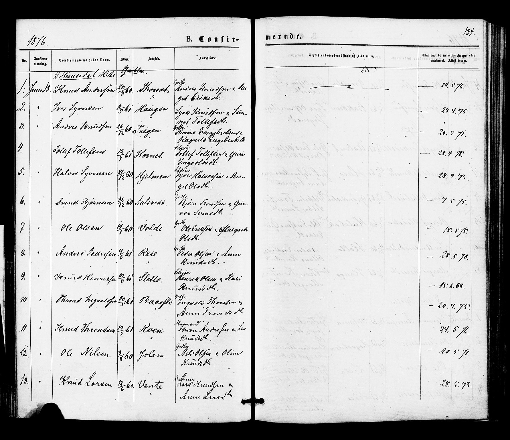 Gol kirkebøker, SAKO/A-226/F/Fa/L0004: Parish register (official) no. I 4, 1876-1886, p. 134