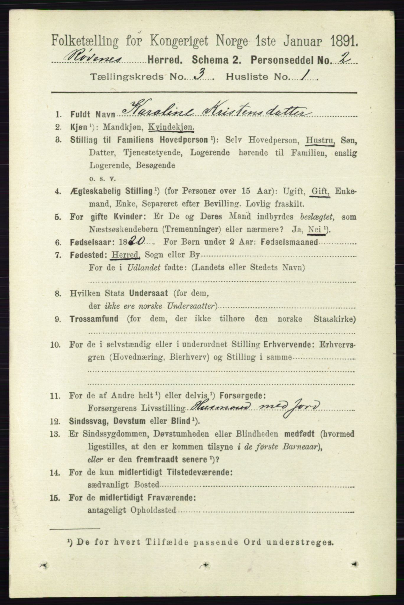 RA, 1891 census for 0120 Rødenes, 1891, p. 1195