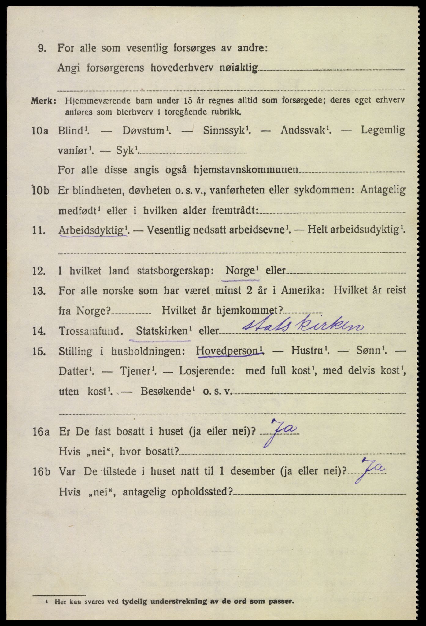 SAK, 1920 census for Hornnes, 1920, p. 1336