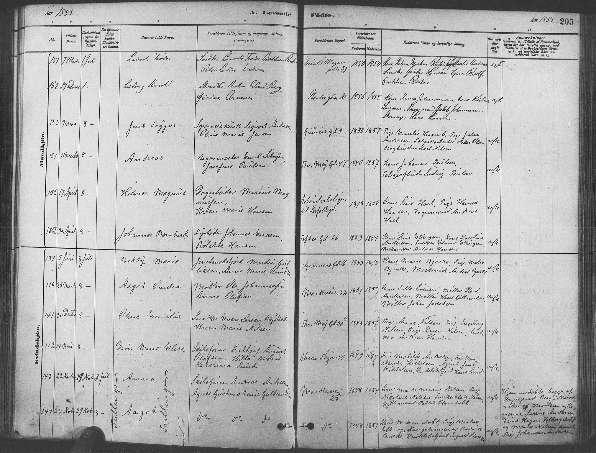 Paulus prestekontor Kirkebøker, AV/SAO-A-10871/F/Fa/L0003: Parish register (official) no. 3, 1879-1887, p. 205