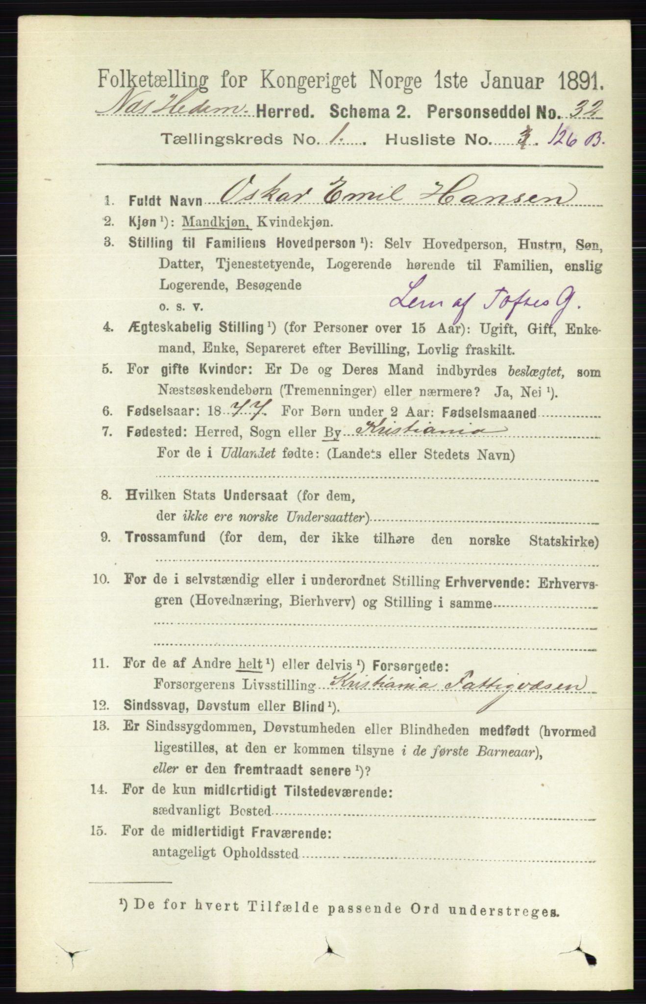 RA, 1891 census for 0411 Nes, 1891, p. 939