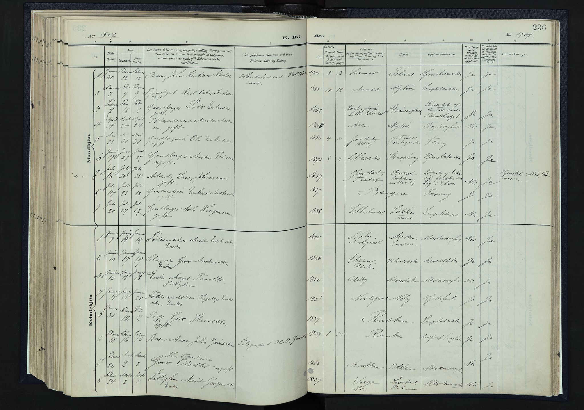 Tynset prestekontor, SAH/PREST-058/H/Ha/Haa/L0025: Parish register (official) no. 25, 1900-1914, p. 236