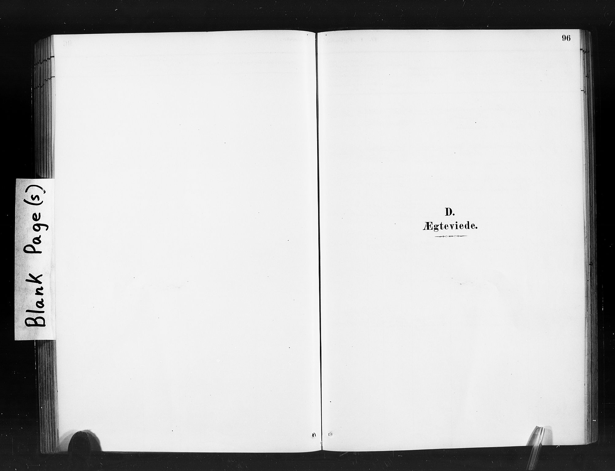 Ministerialprotokoller, klokkerbøker og fødselsregistre - Møre og Romsdal, AV/SAT-A-1454/520/L0283: Parish register (official) no. 520A12, 1882-1898, p. 96