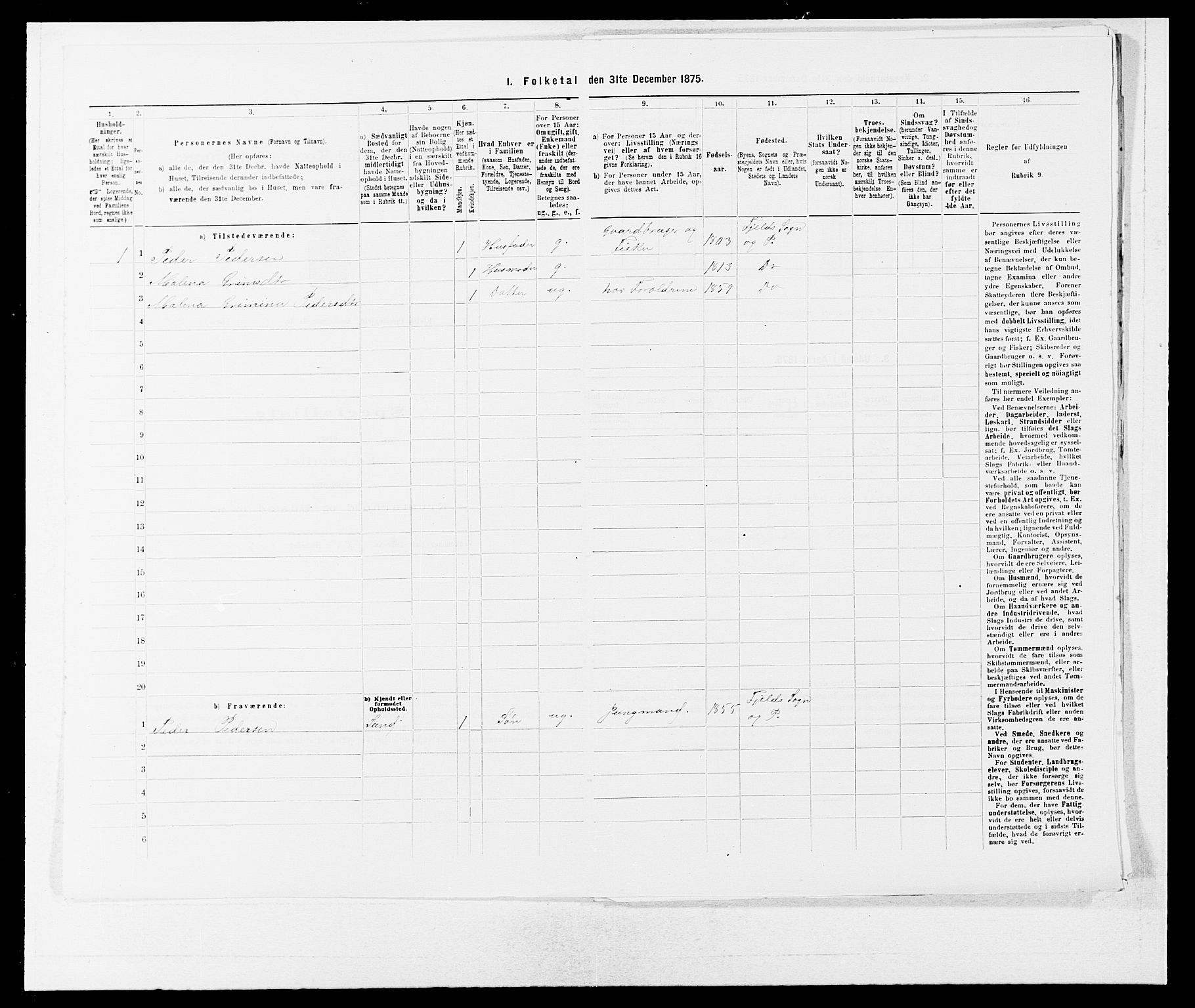 SAB, 1875 census for 1246P Fjell, 1875, p. 804