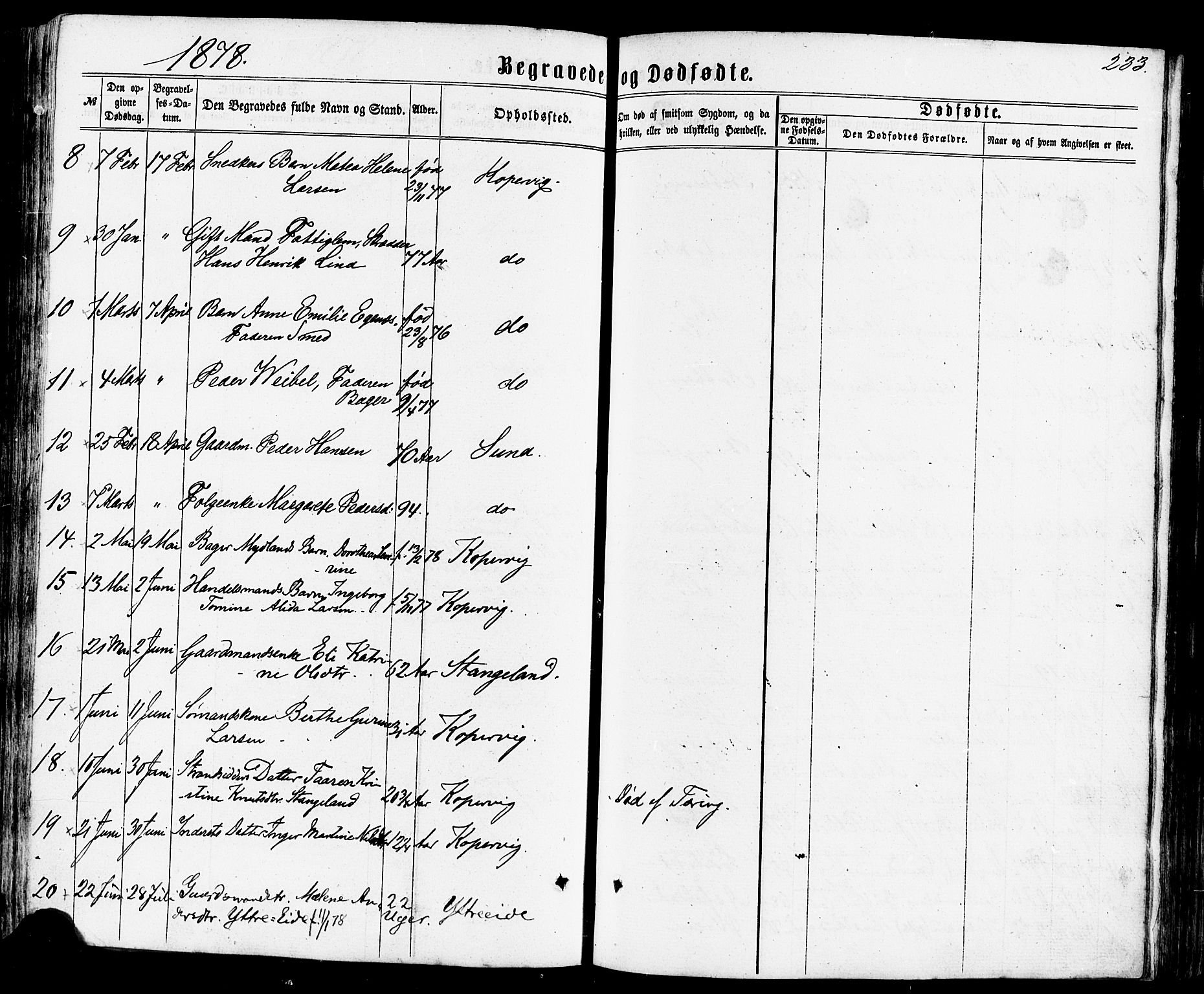 Avaldsnes sokneprestkontor, SAST/A -101851/H/Ha/Haa/L0011: Parish register (official) no. A 11, 1861-1880, p. 233