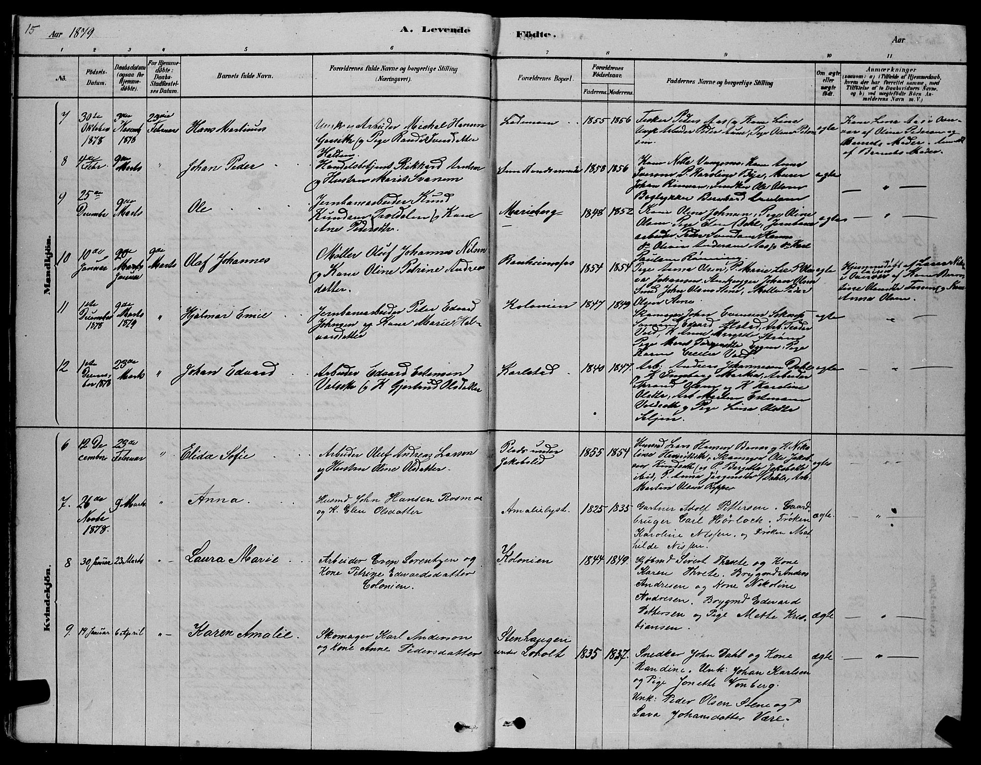 Ministerialprotokoller, klokkerbøker og fødselsregistre - Sør-Trøndelag, SAT/A-1456/606/L0312: Parish register (copy) no. 606C08, 1878-1894, p. 15